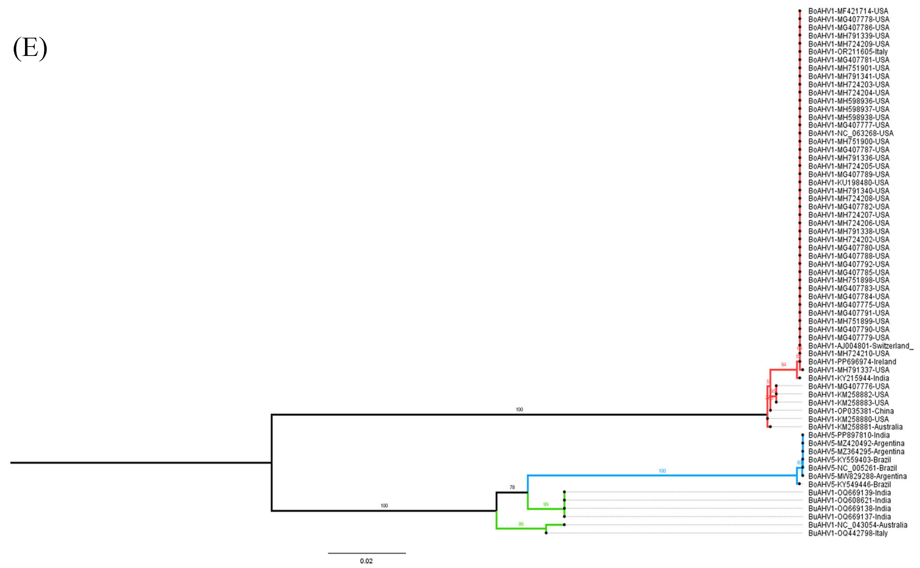 Viruses 17 00198 g002c Viruses 17 00198 g002c