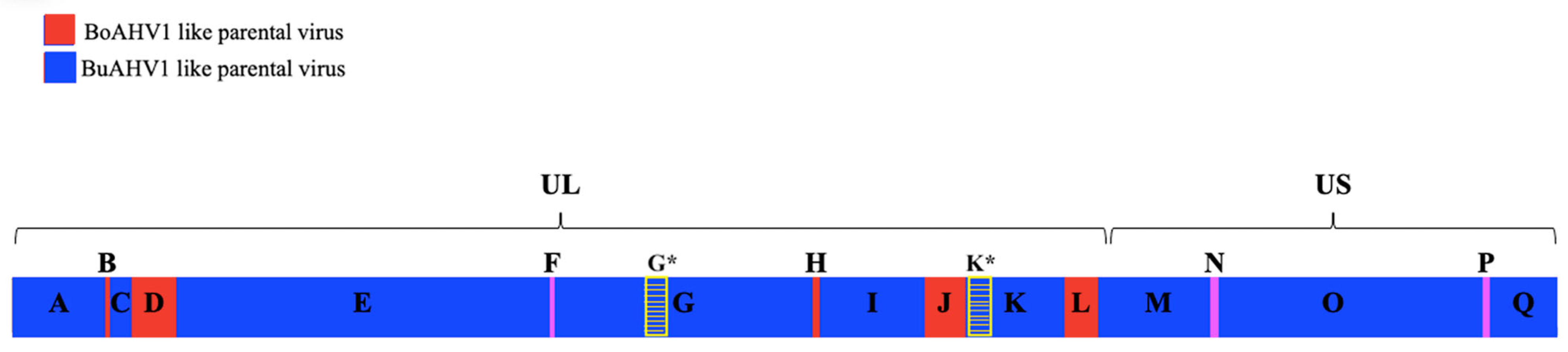 Viruses 17 00198 g003 Viruses 17 00198 g003