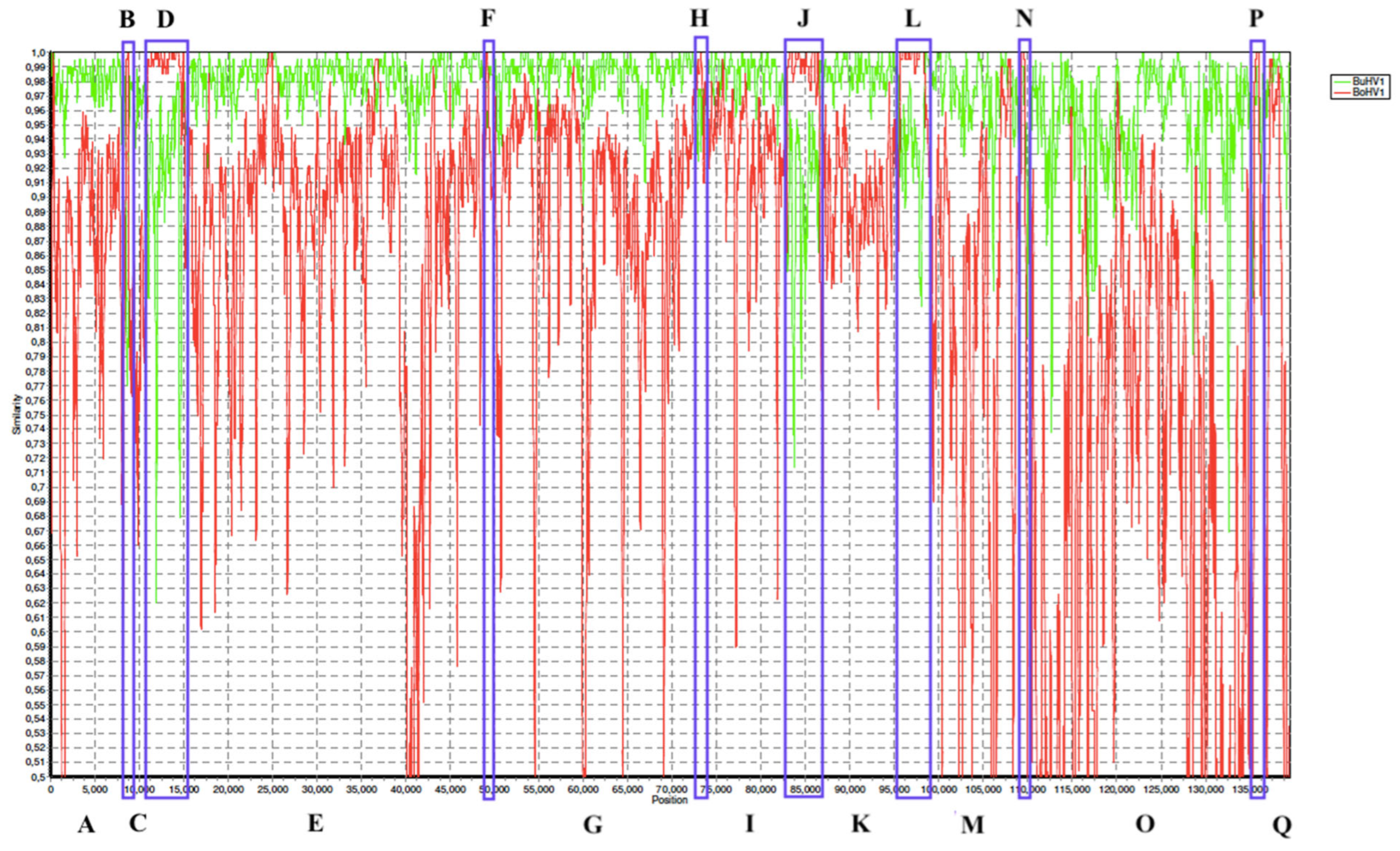 Viruses 17 00198 g004 Viruses 17 00198 g004