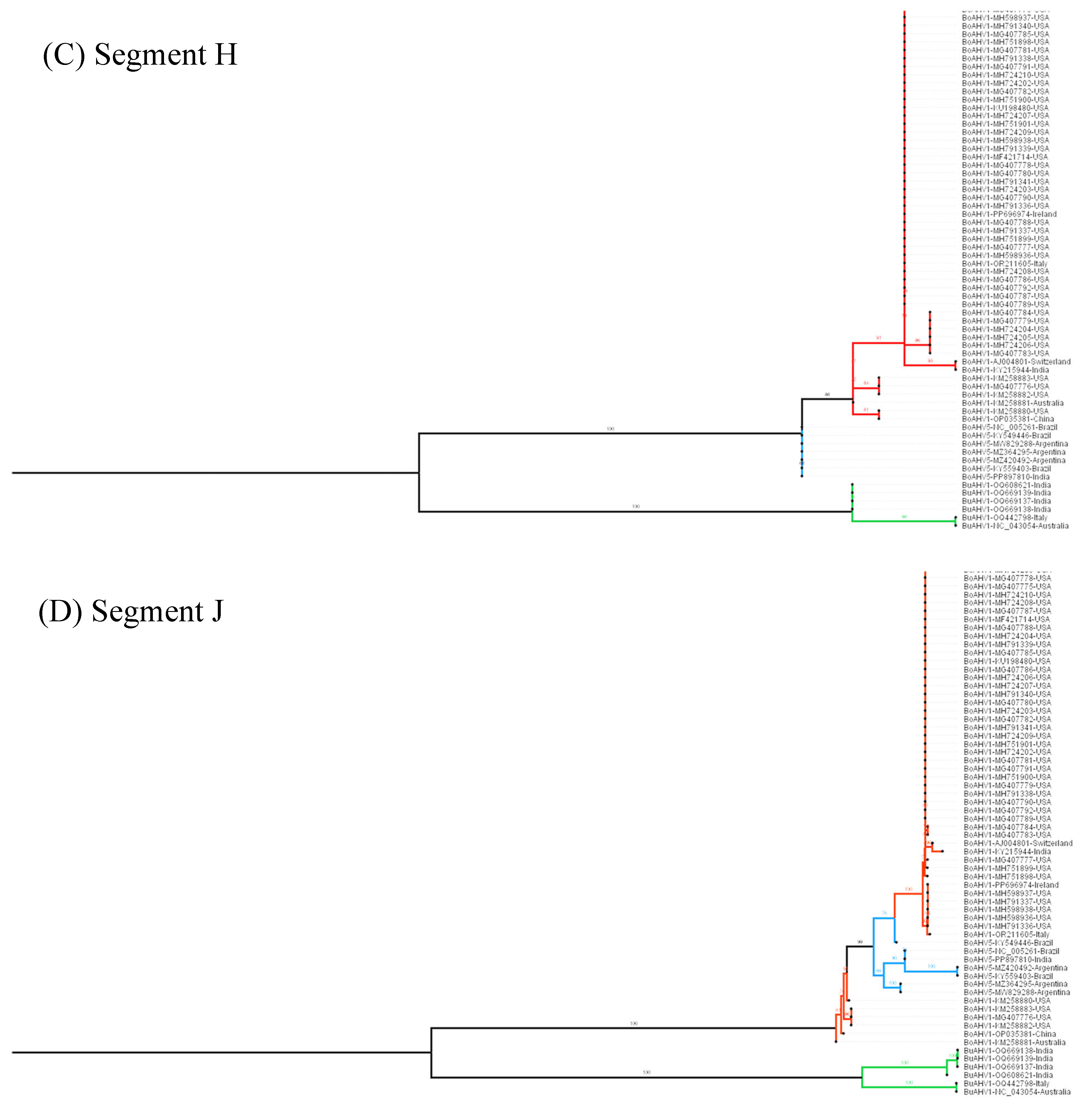 Viruses 17 00198 g005b Viruses 17 00198 g005b