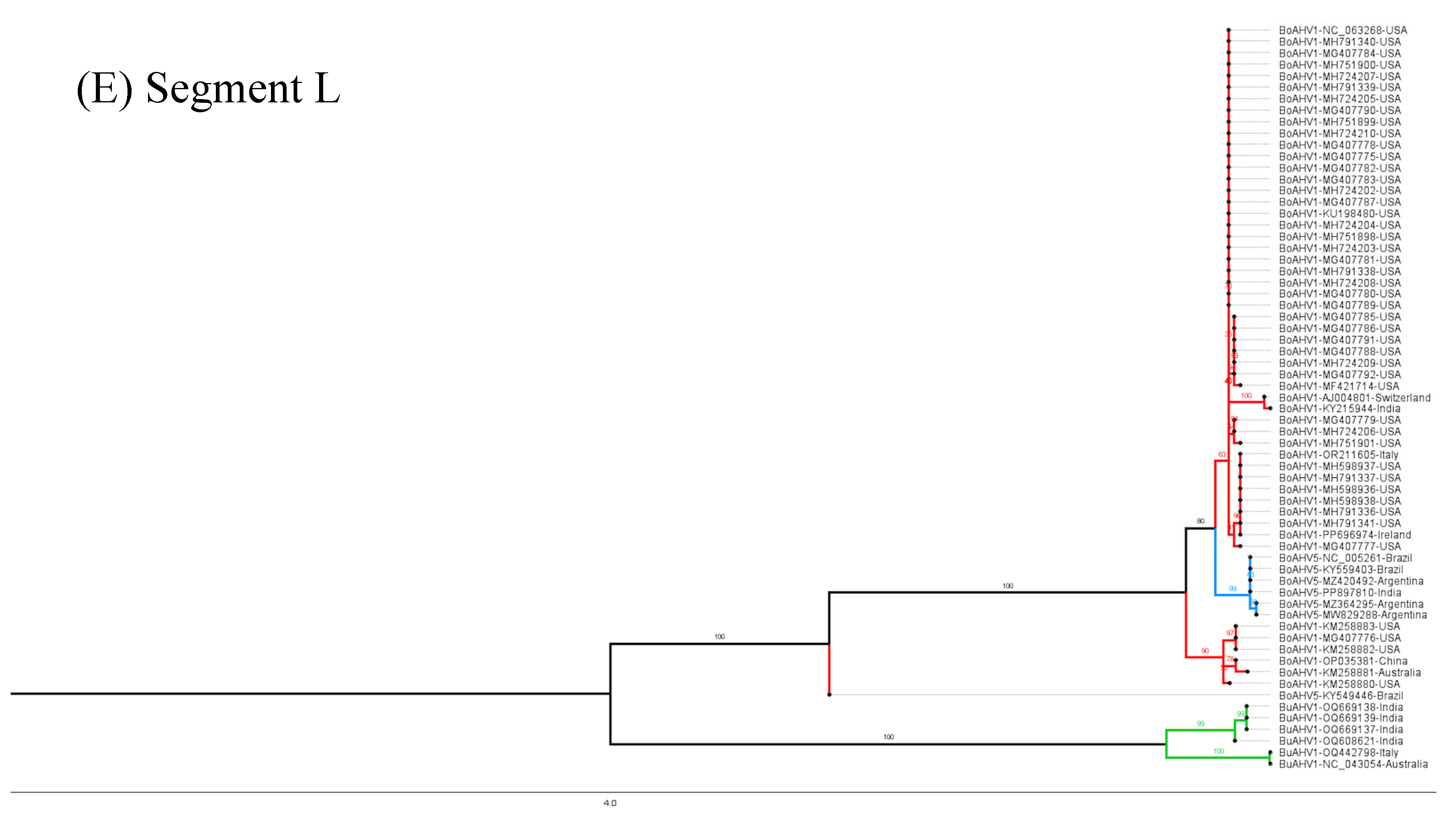 Viruses 17 00198 g005c Viruses 17 00198 g005c