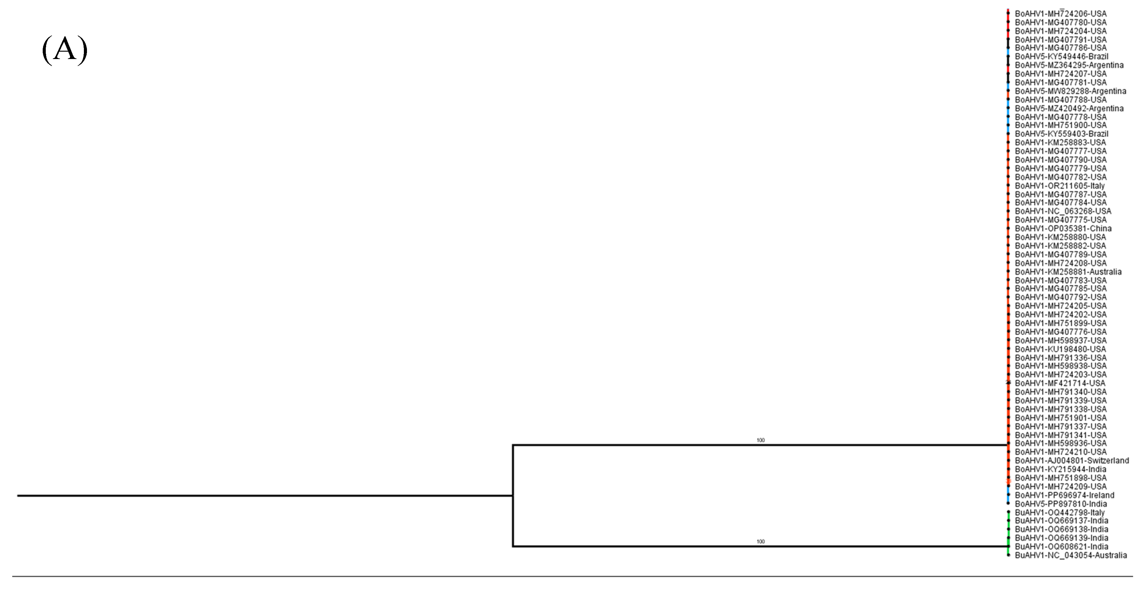 Viruses 17 00198 g006a Viruses 17 00198 g006a