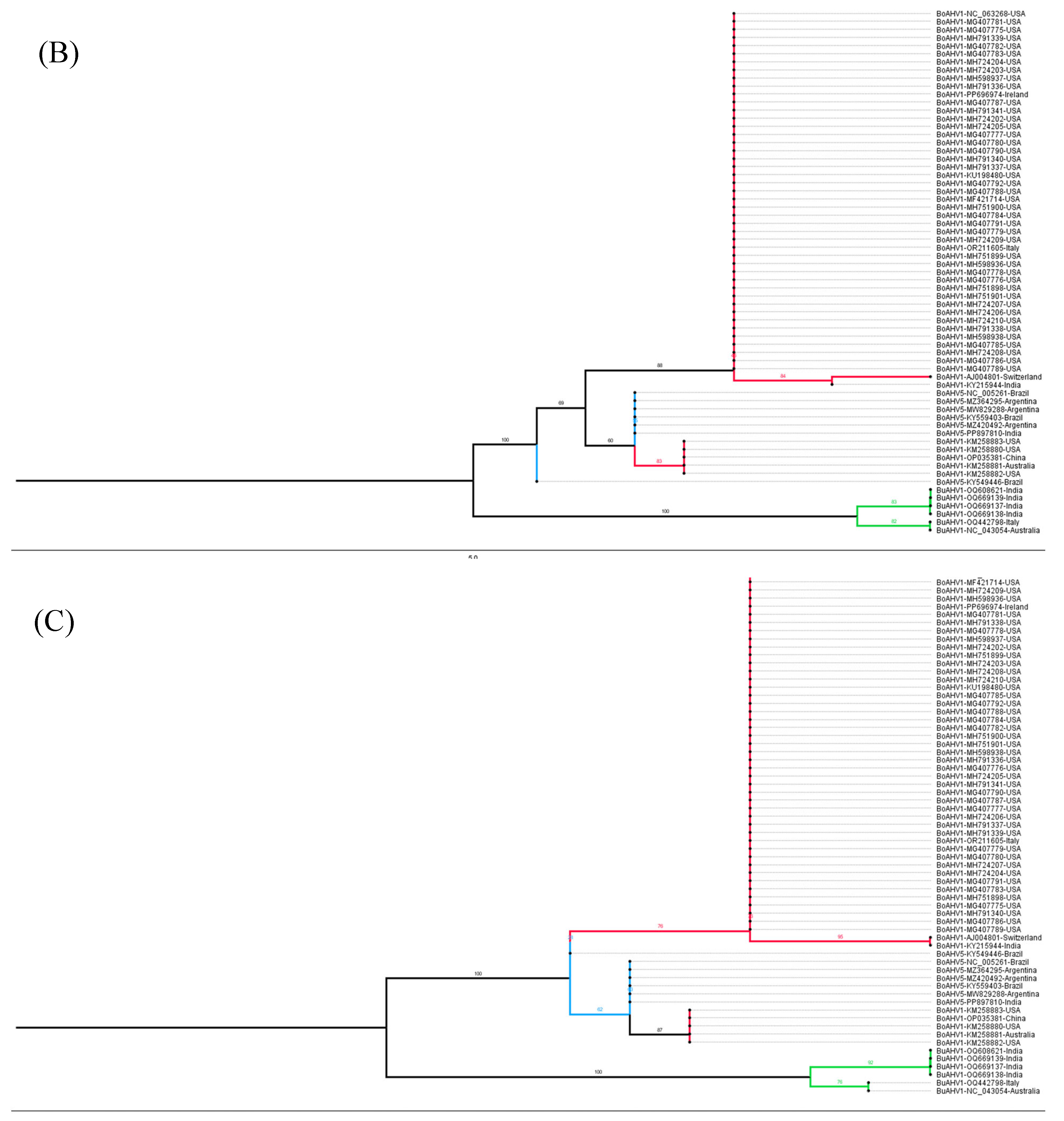 Viruses 17 00198 g006b Viruses 17 00198 g006b