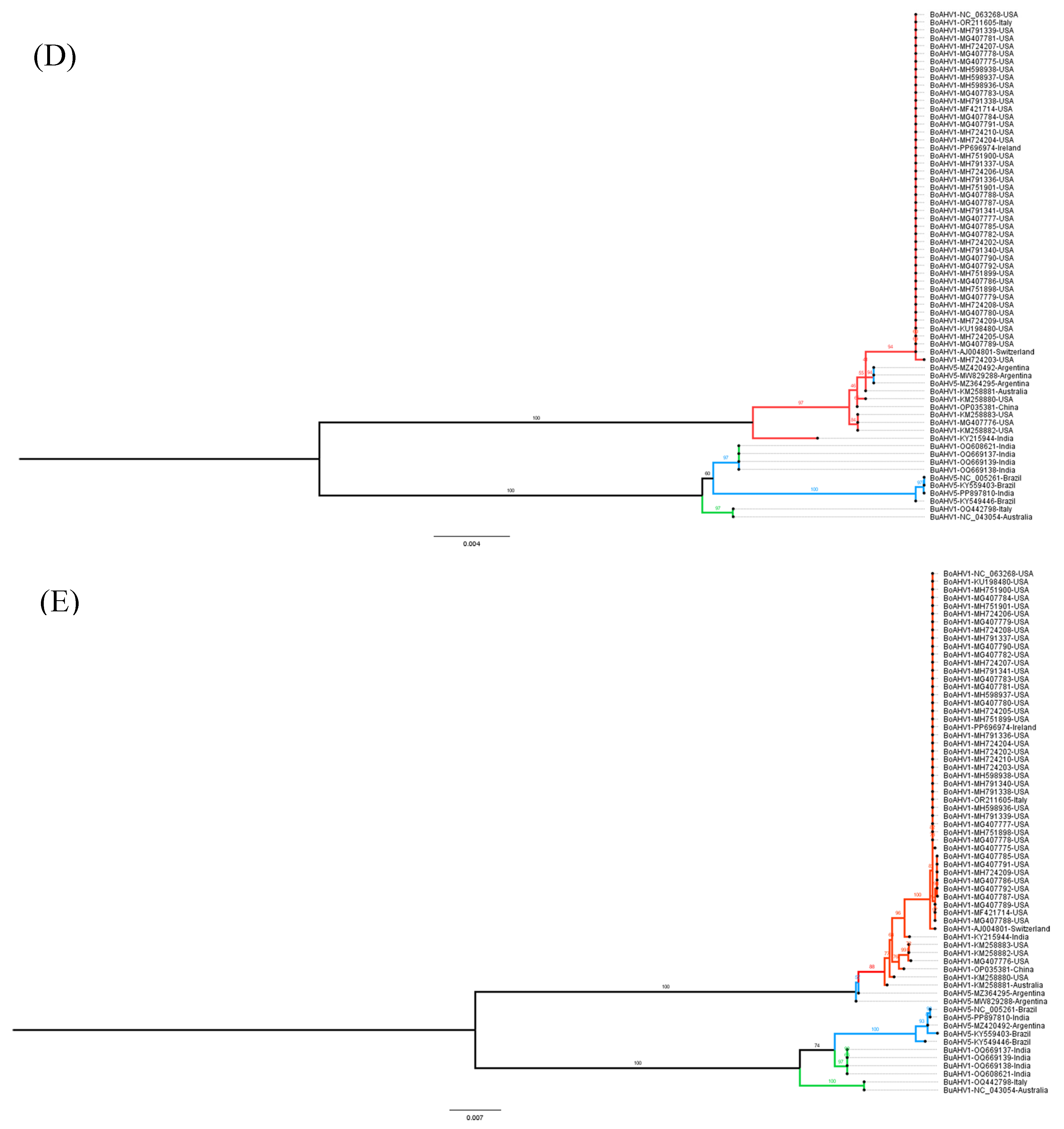 Viruses 17 00198 g006c Viruses 17 00198 g006c