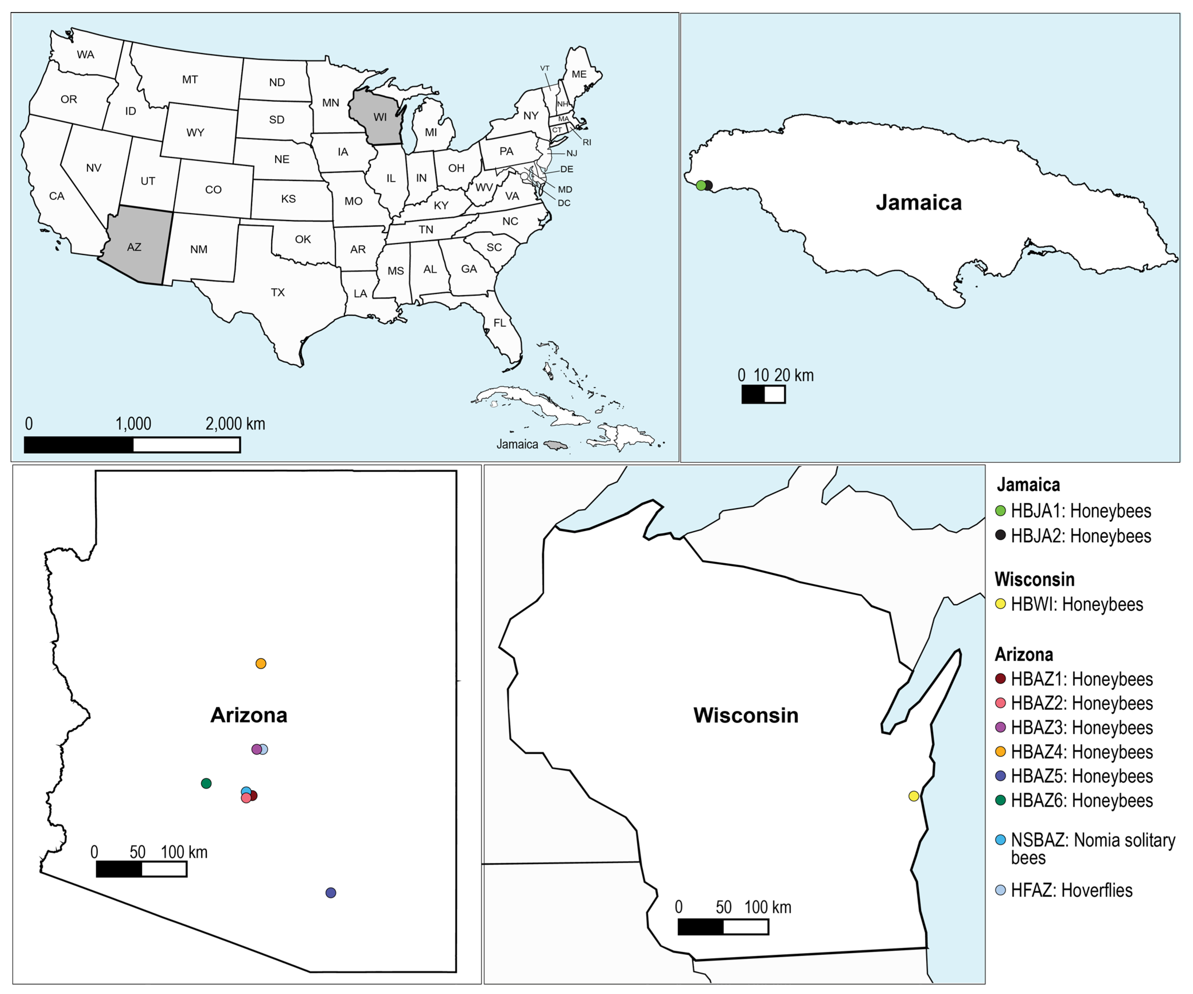 Viruses 17 00201 g001