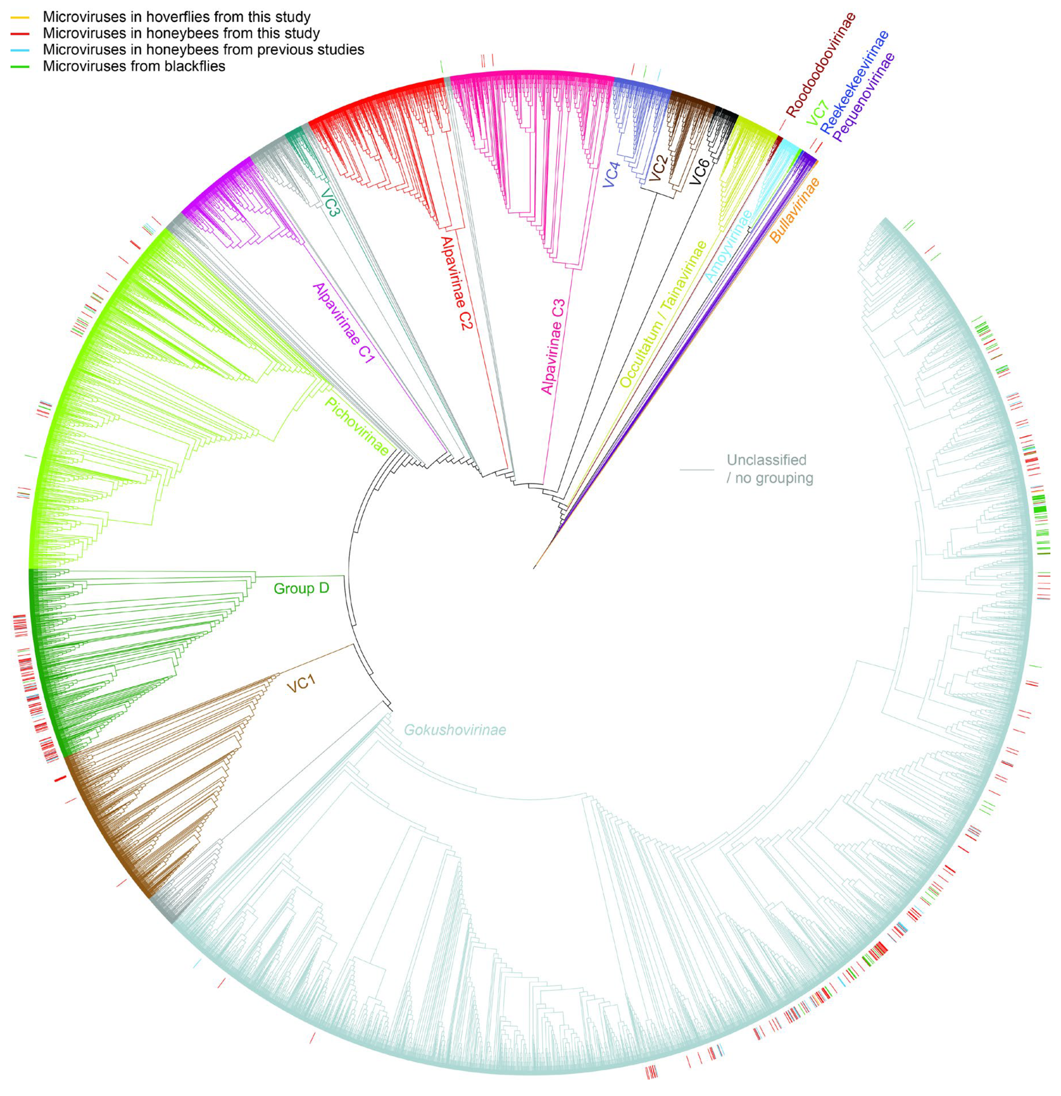 Viruses 17 00201 g006