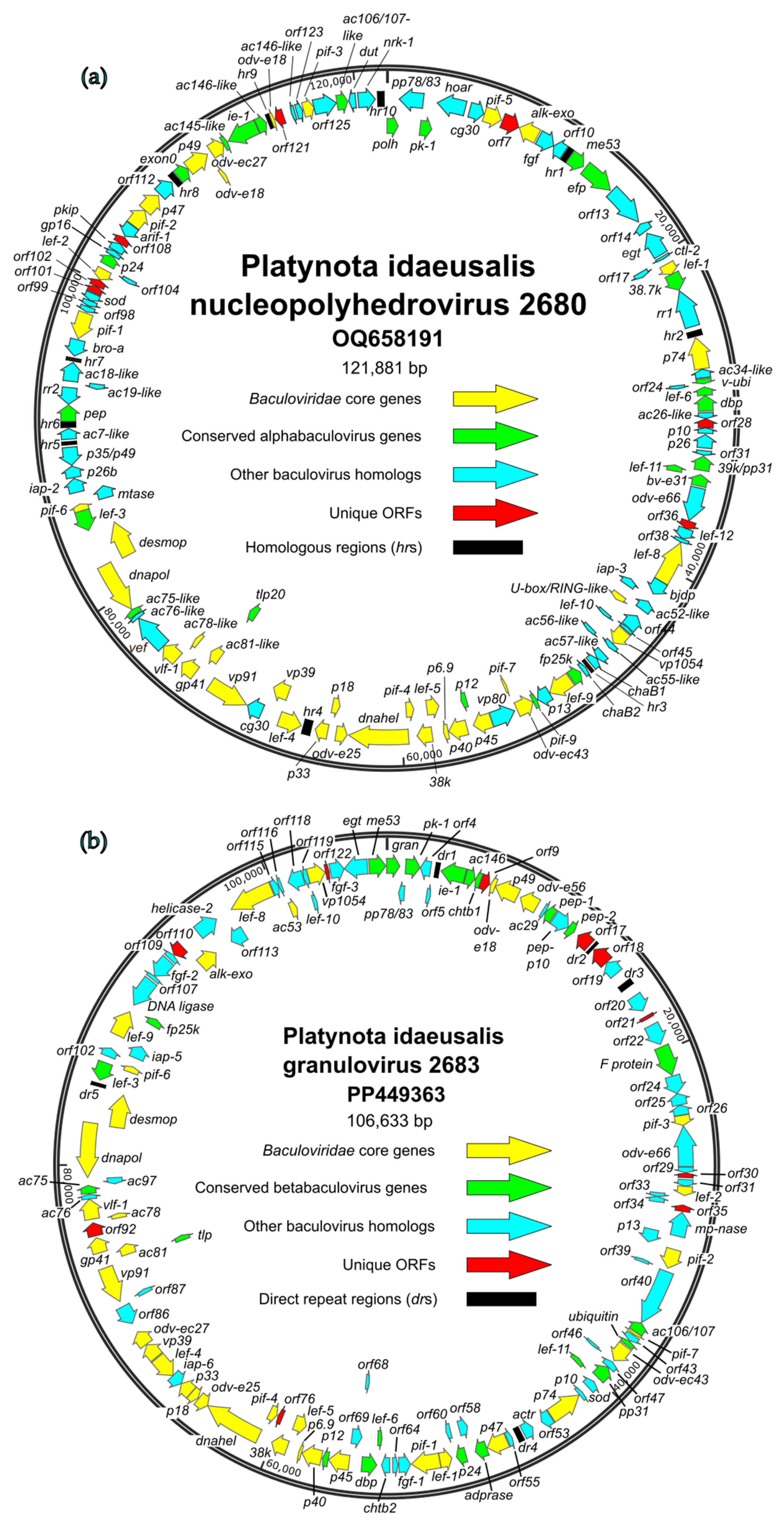 Viruses 17 00202 g003
