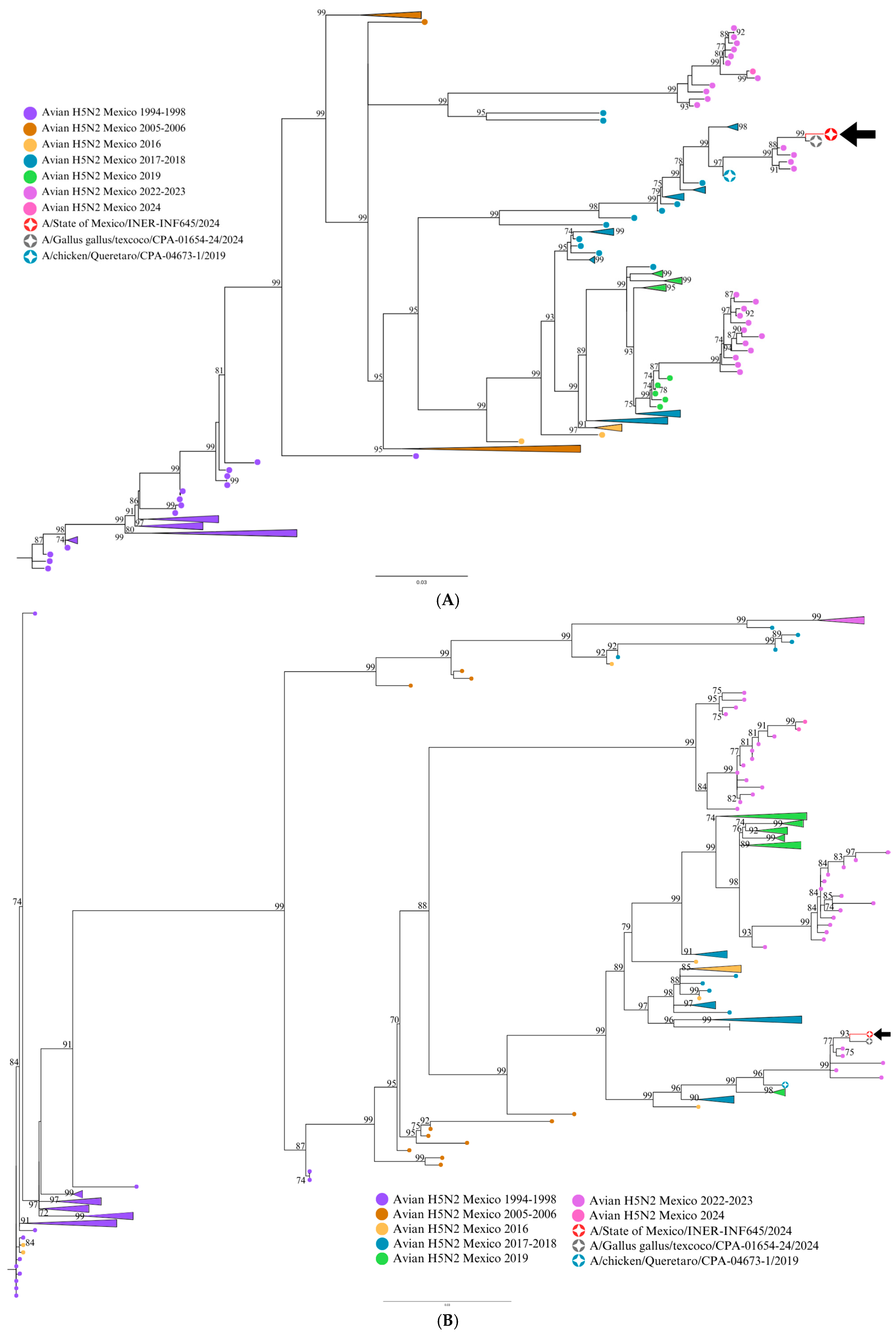 Viruses 17 00205 g001