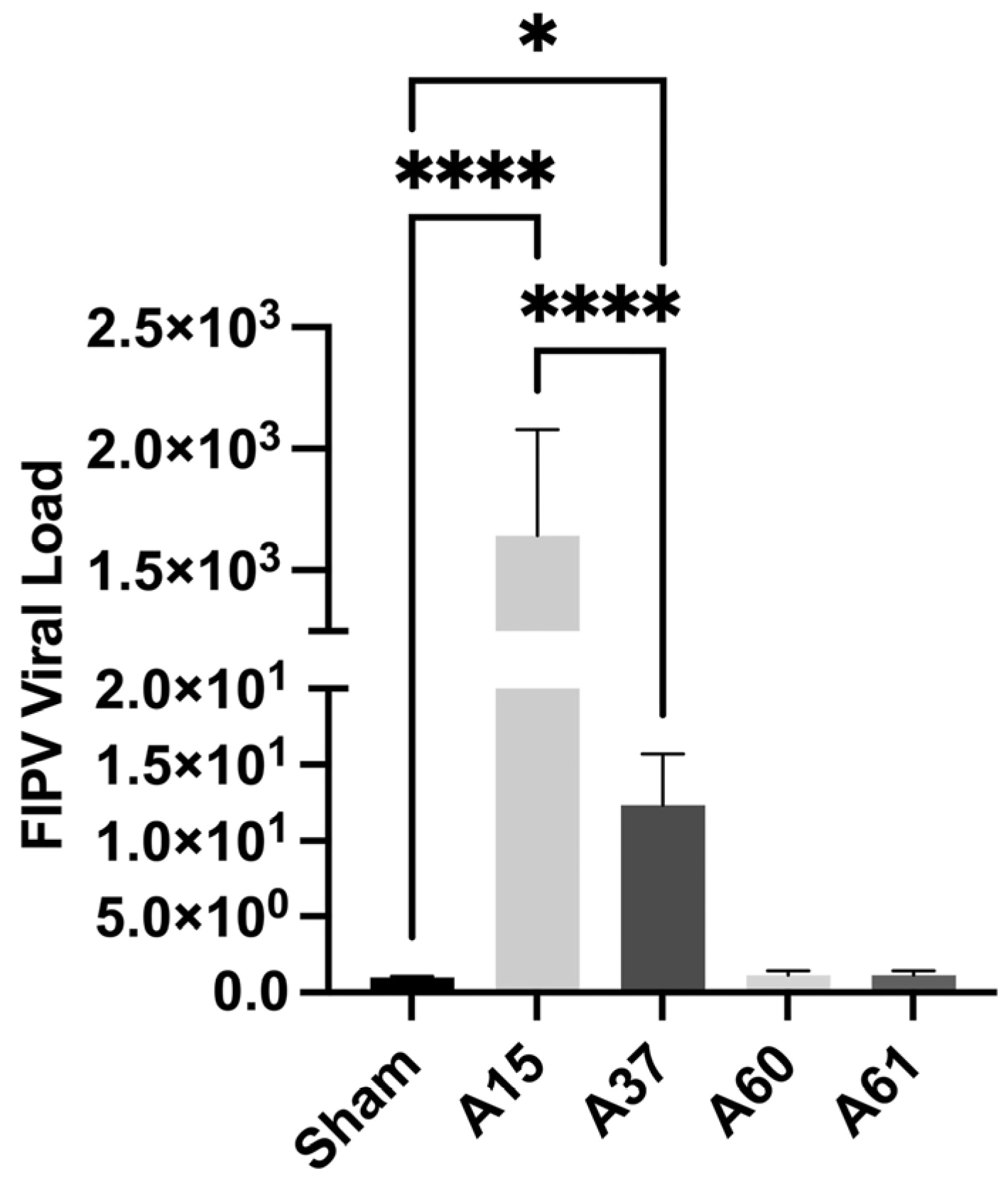 Viruses 17 00209 g005 Viruses 17 00209 g005