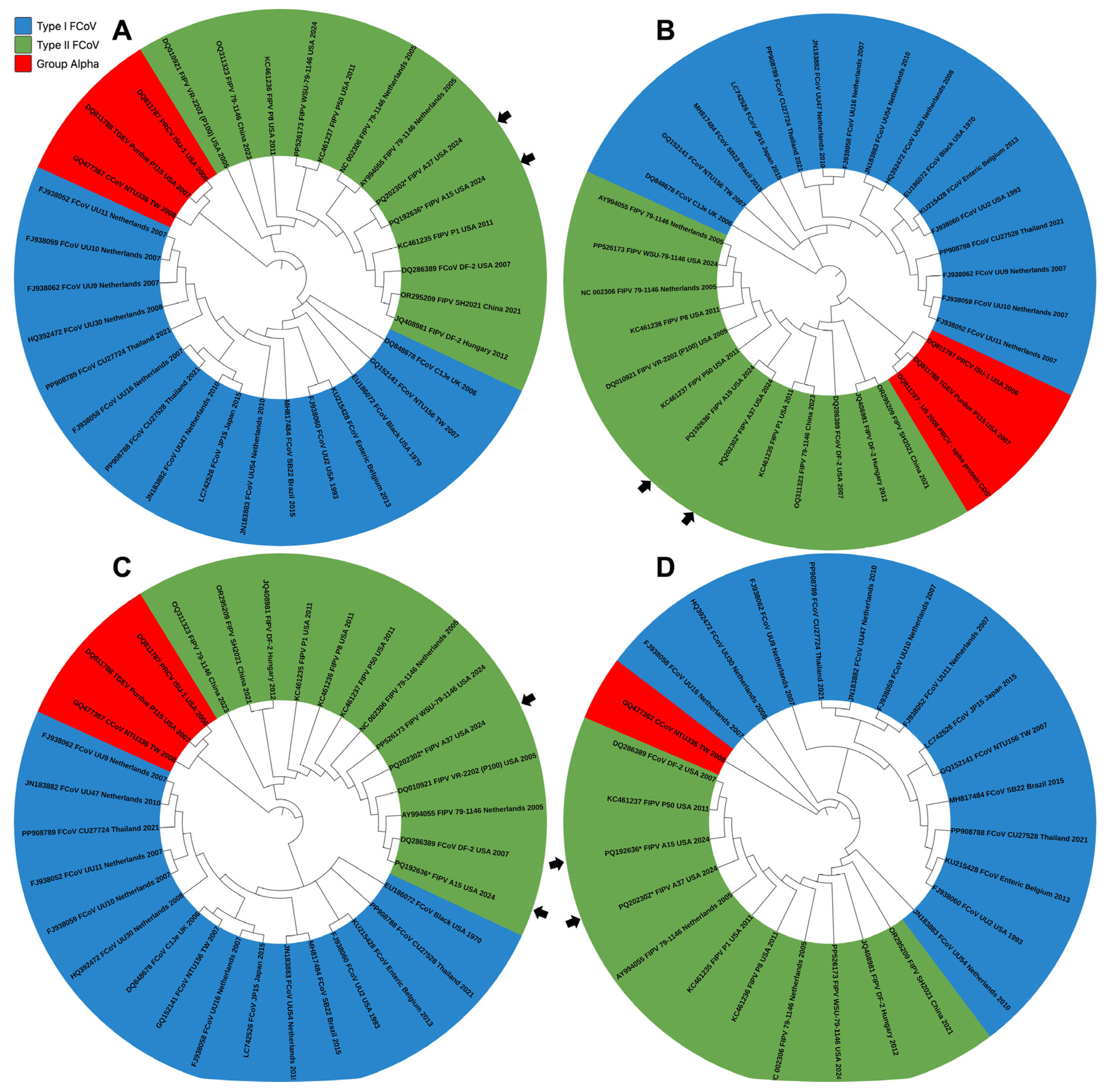 Viruses 17 00209 g011 Viruses 17 00209 g011