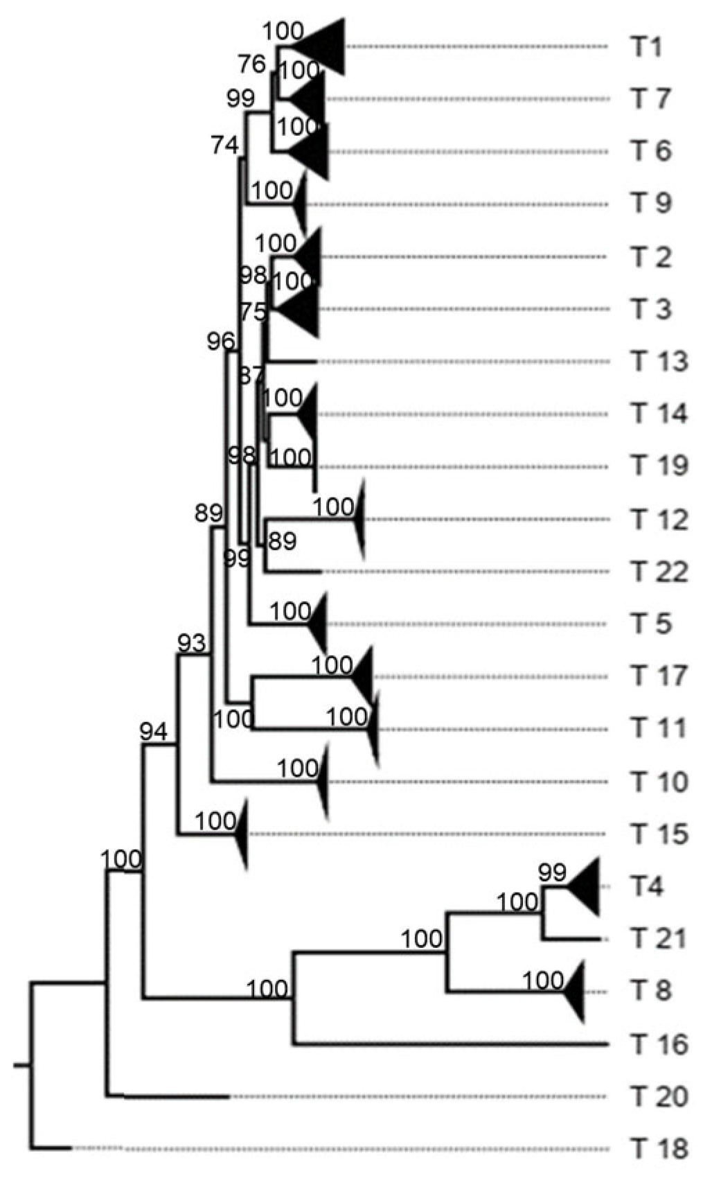 Viruses 17 00211 g0a10
