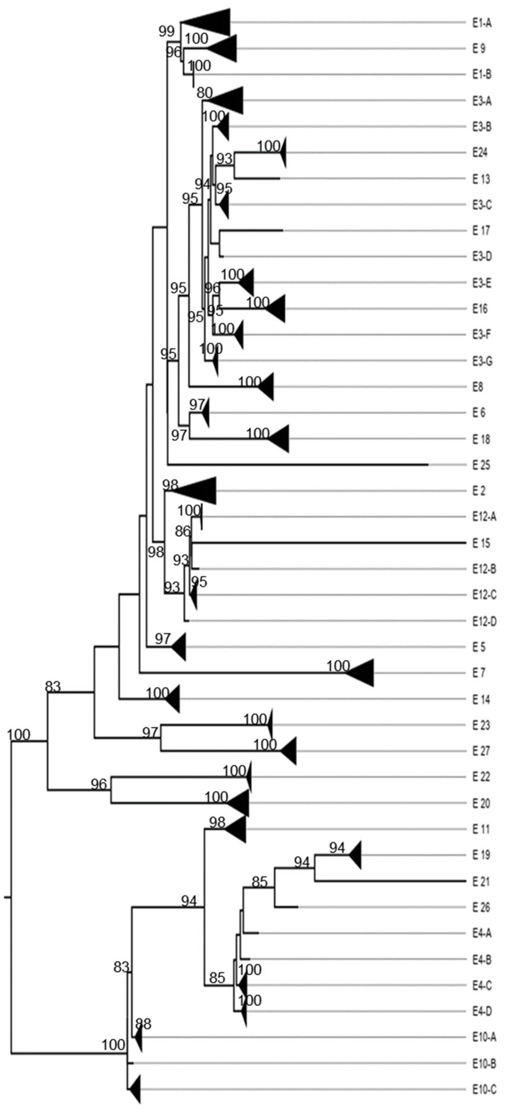 Viruses 17 00211 g0a11