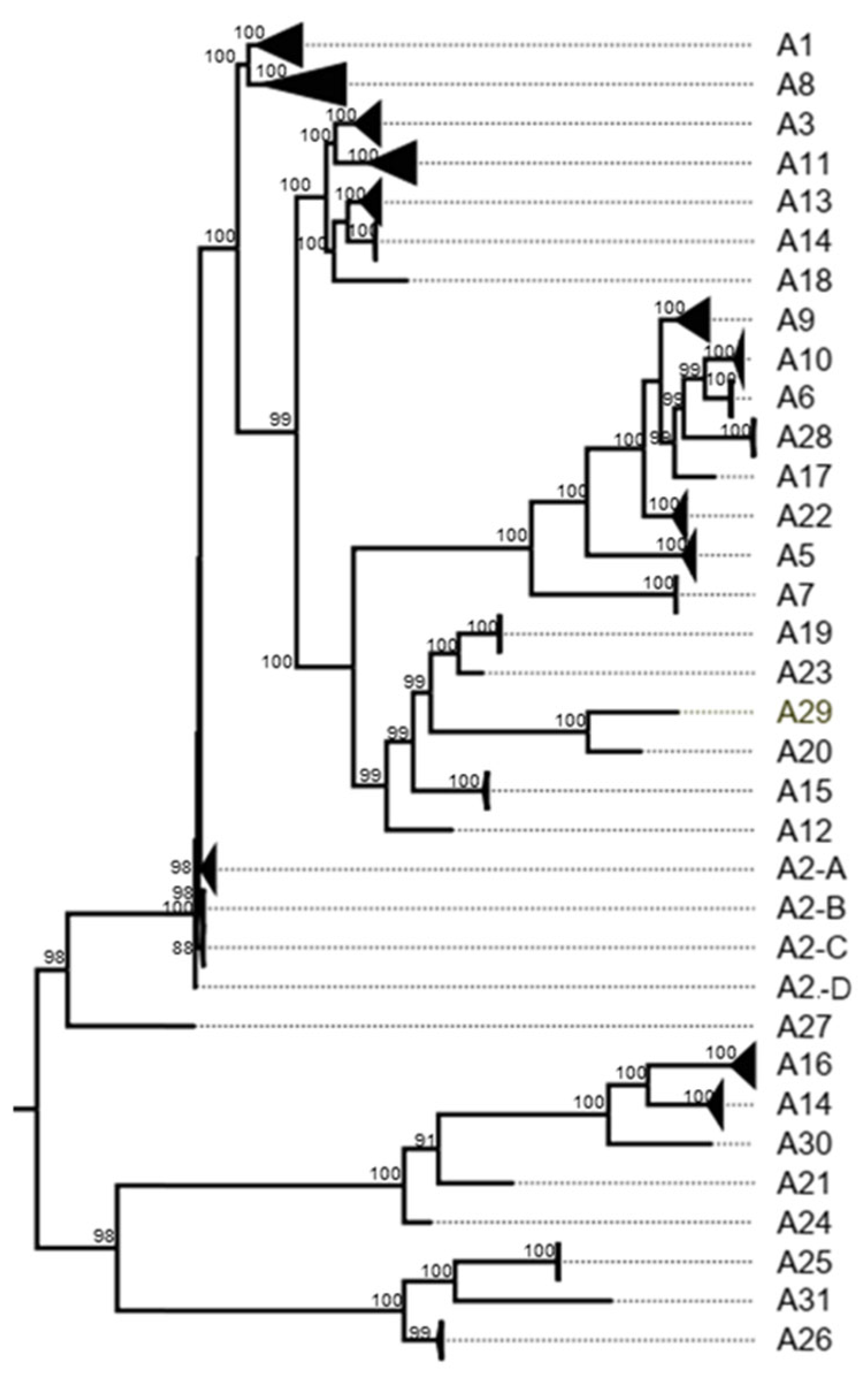 Viruses 17 00211 g0a8