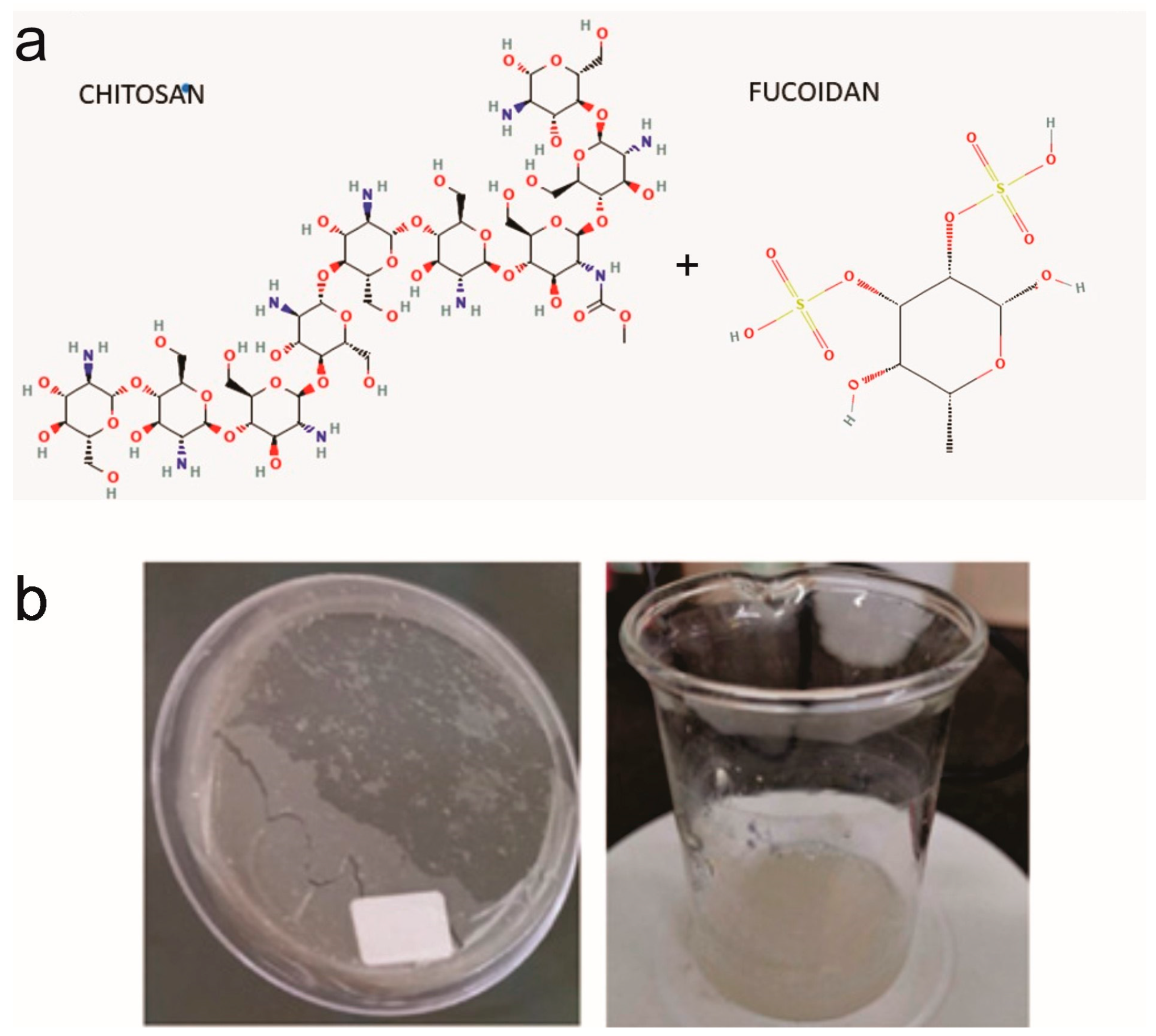 Viruses 17 00216 g001 Viruses 17 00216 g001