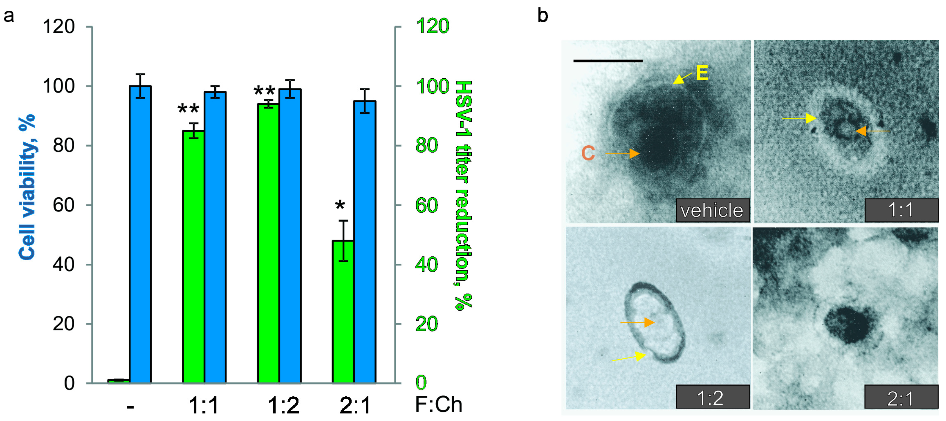Viruses 17 00216 g004 Viruses 17 00216 g004