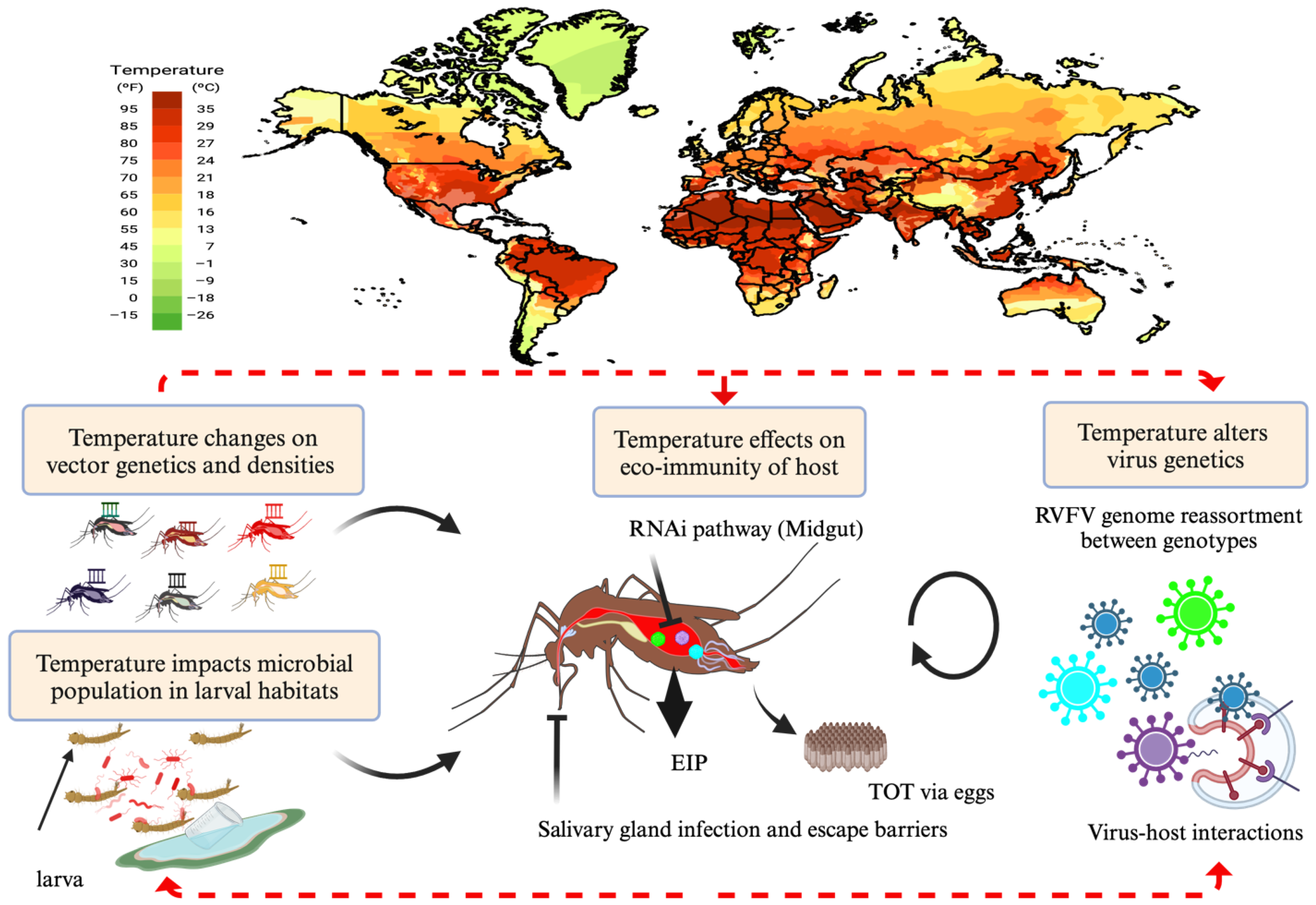 Viruses 17 00217 g001