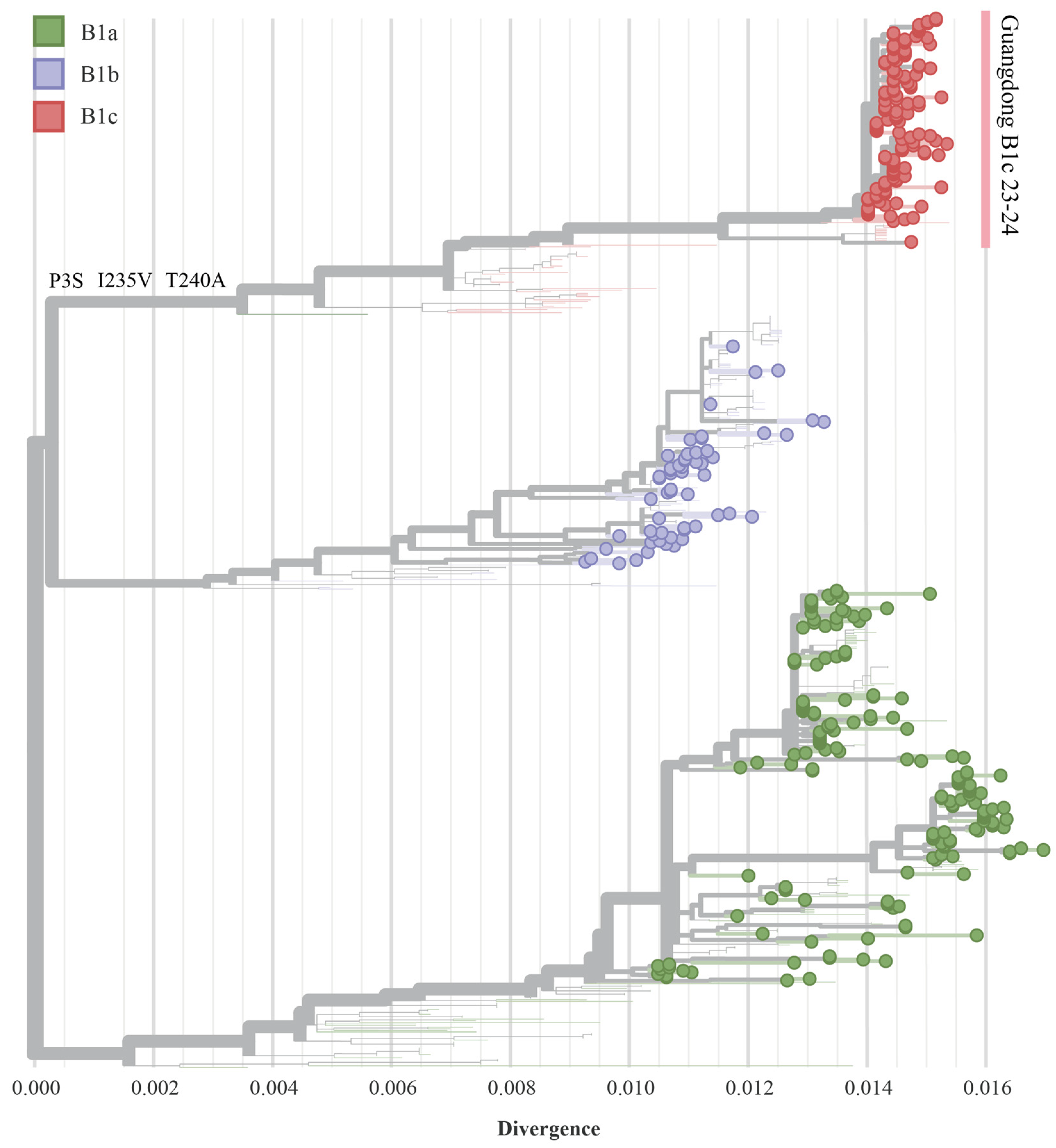 Viruses 17 00219 g002