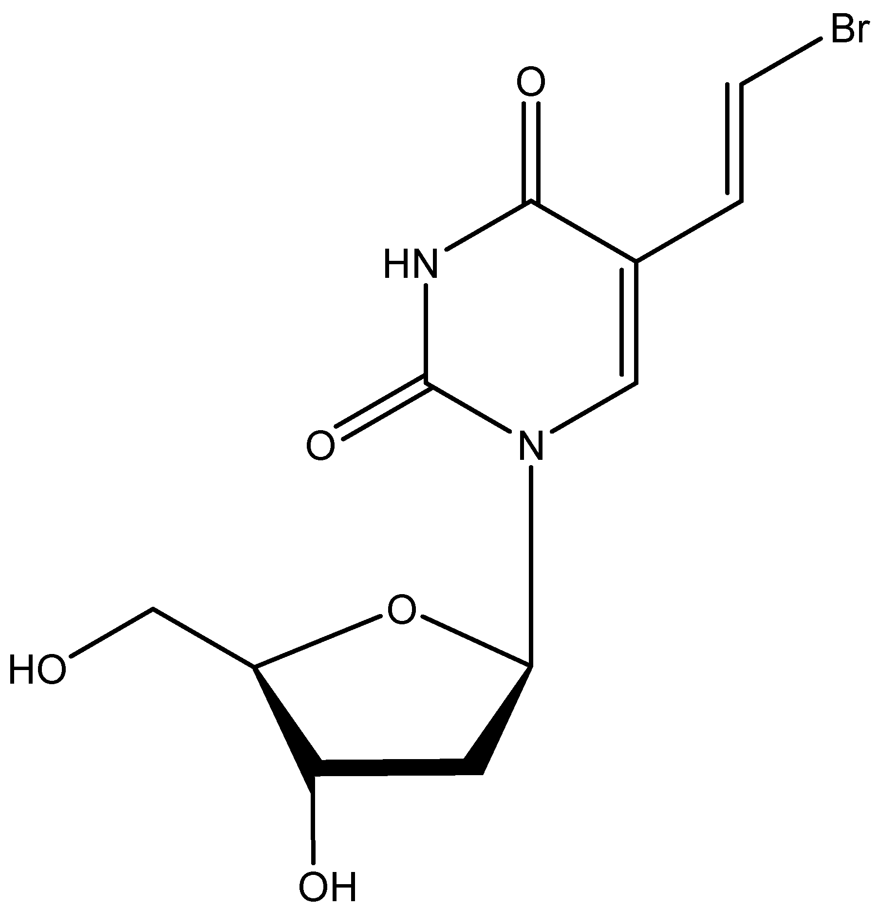 Viruses 17 00222 g006 Viruses 17 00222 g006