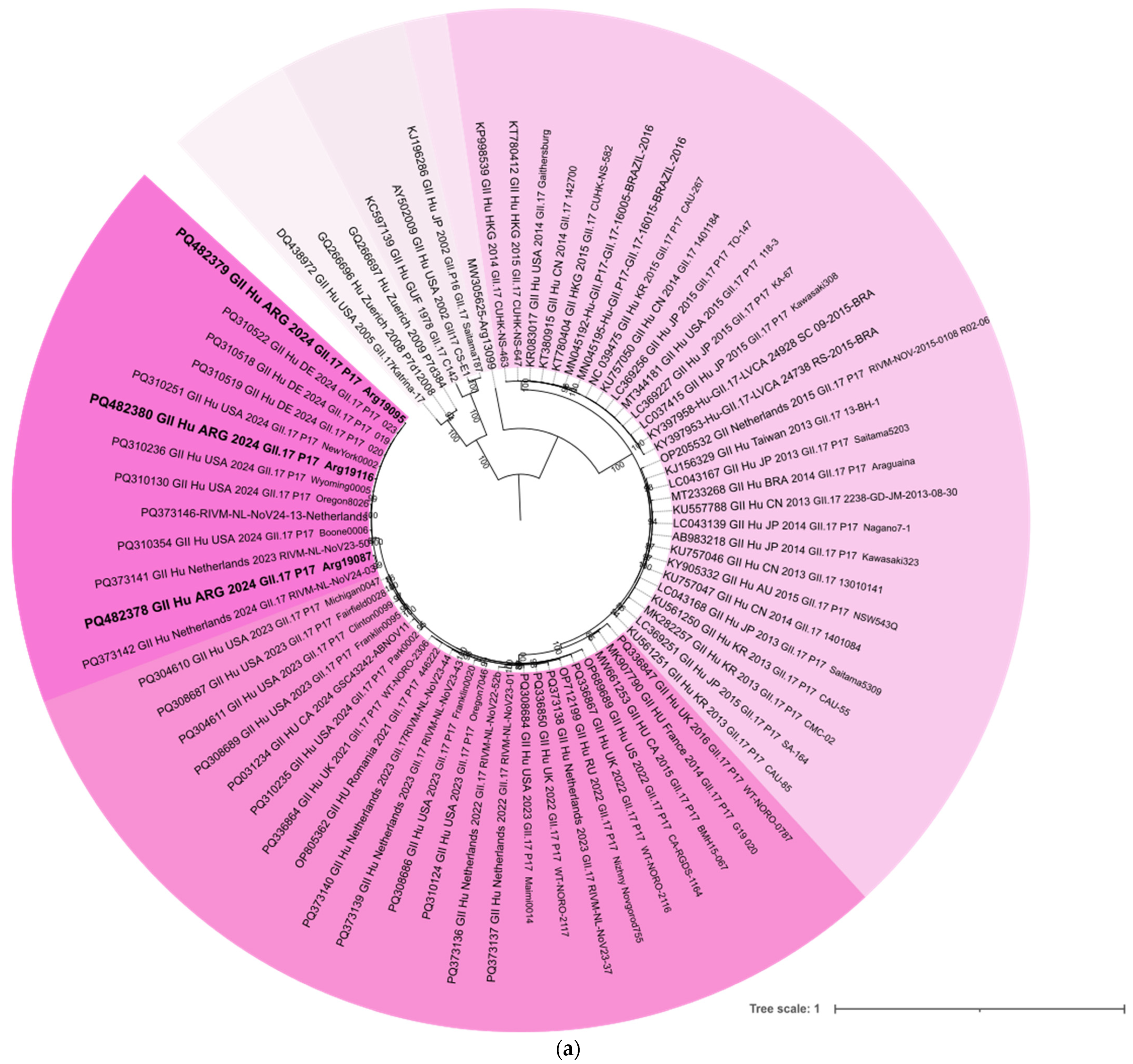 Viruses 17 00223 g001a