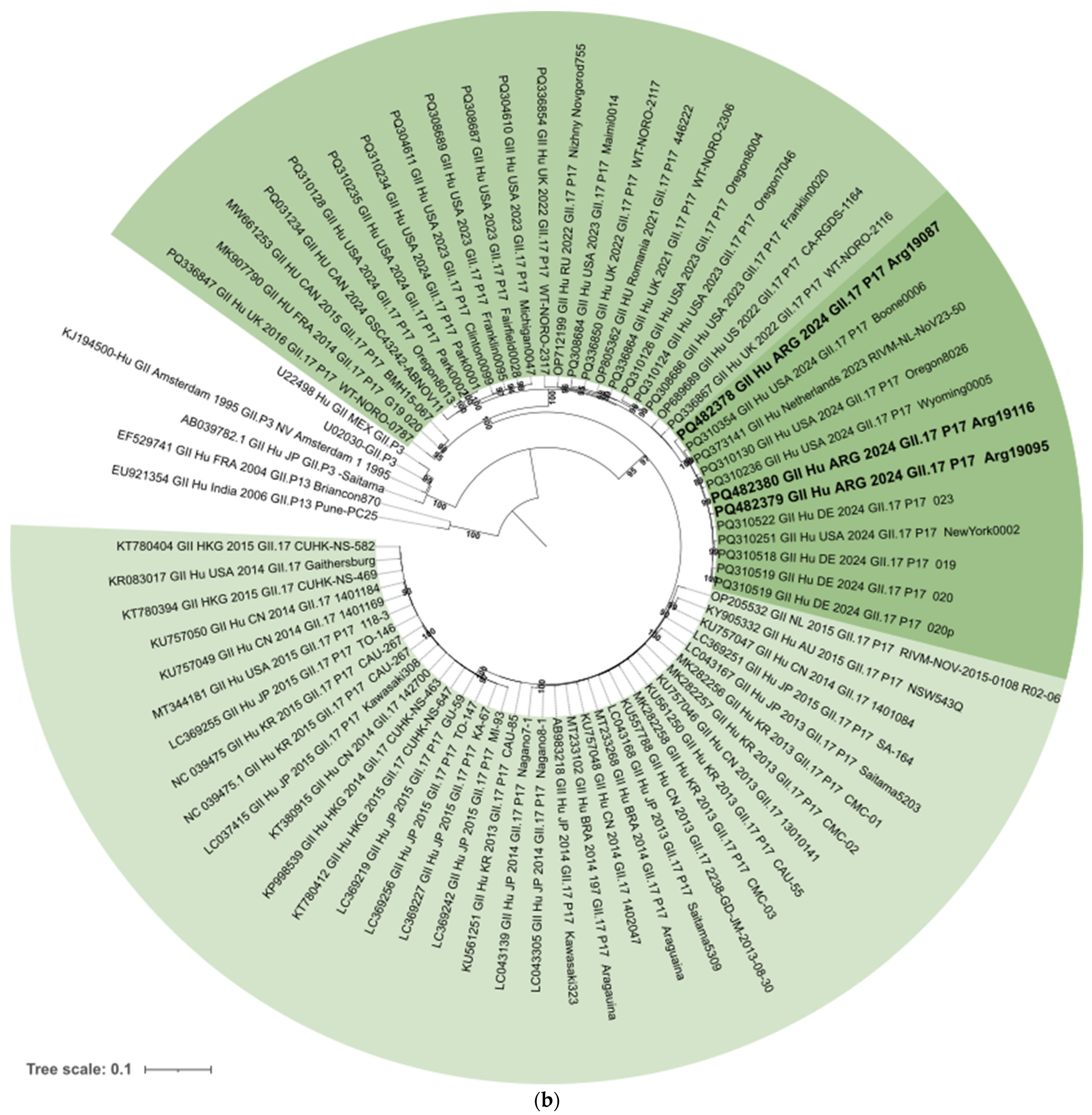 Viruses 17 00223 g001b