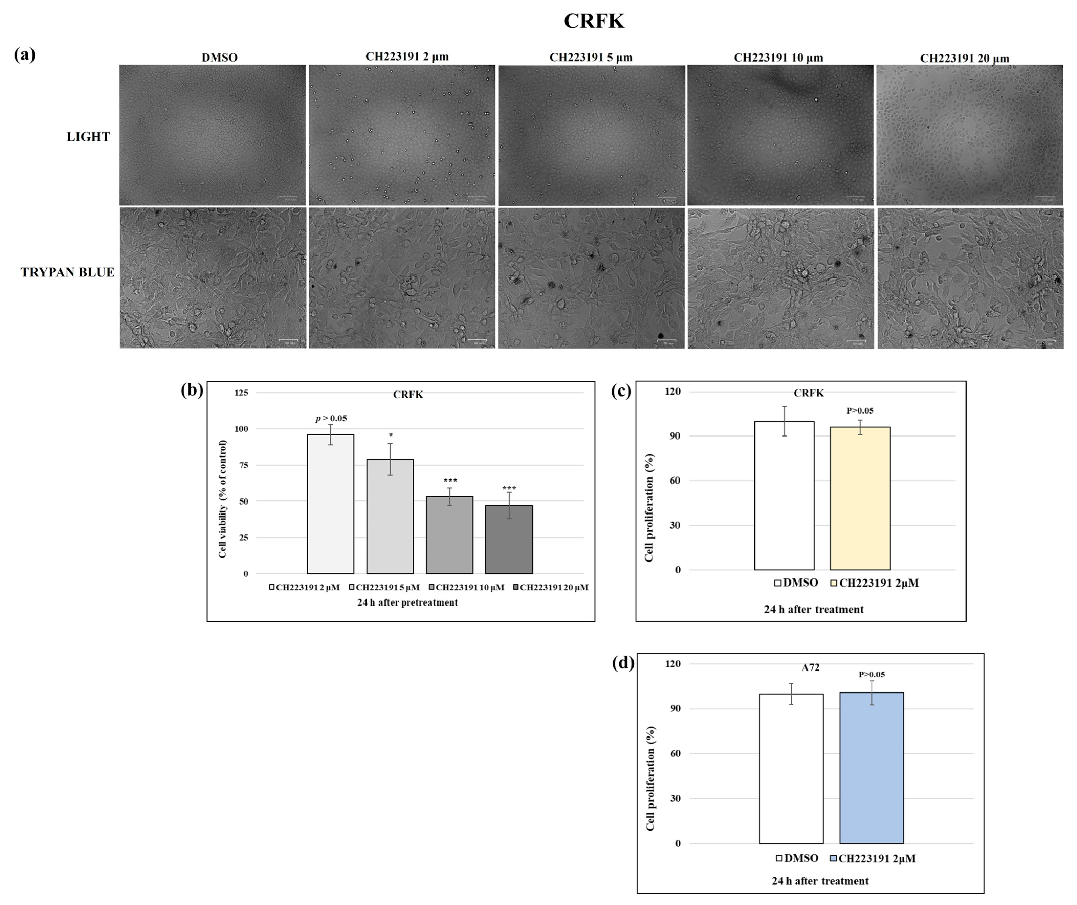 Viruses 17 00227 g001