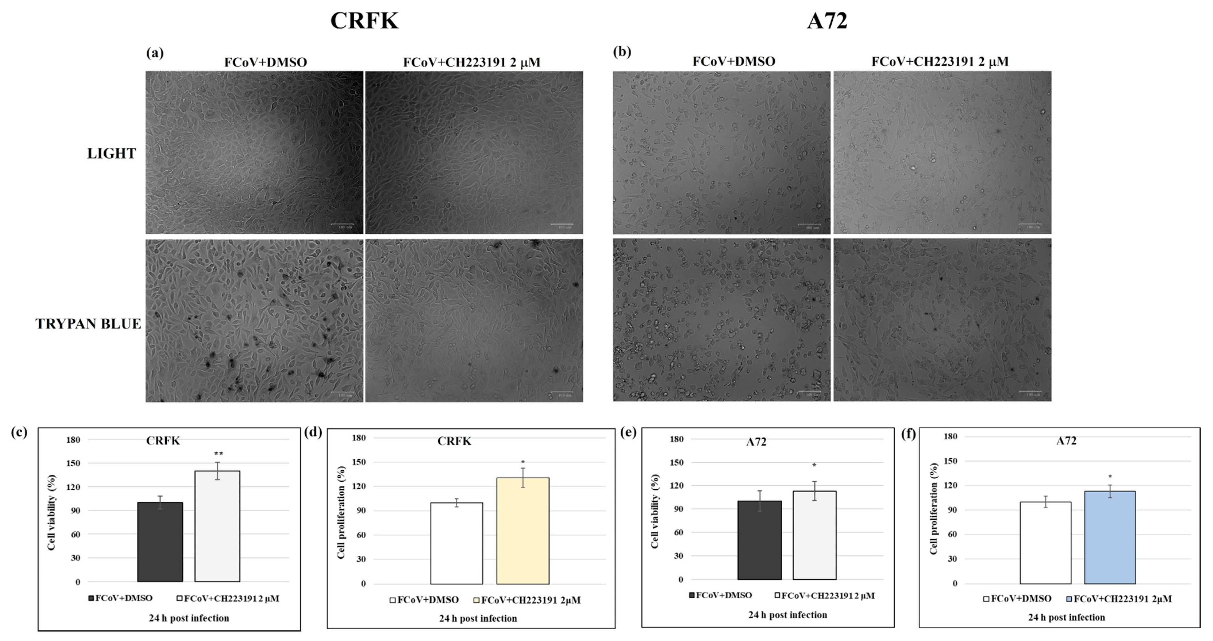 Viruses 17 00227 g002