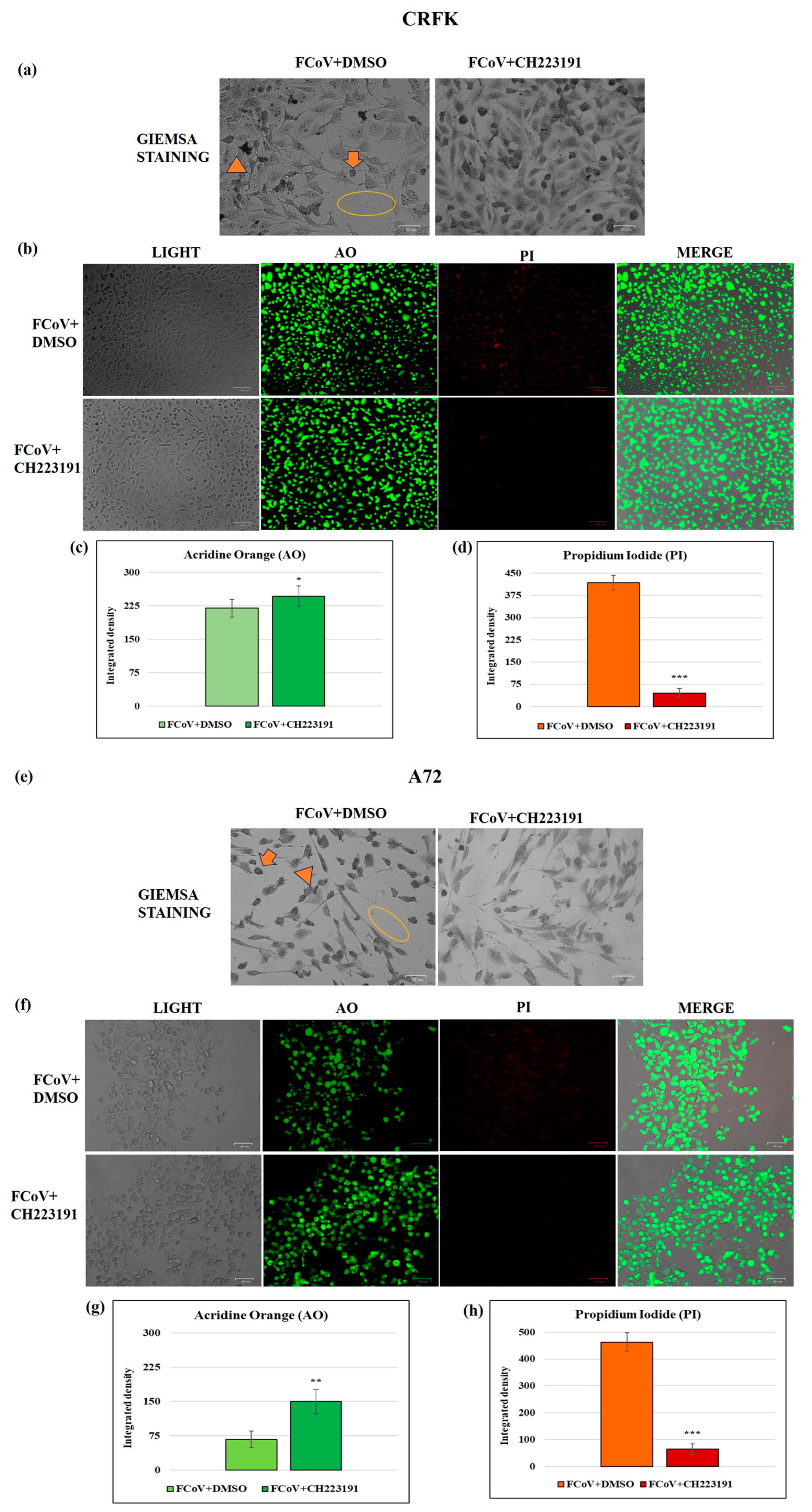 Viruses 17 00227 g003