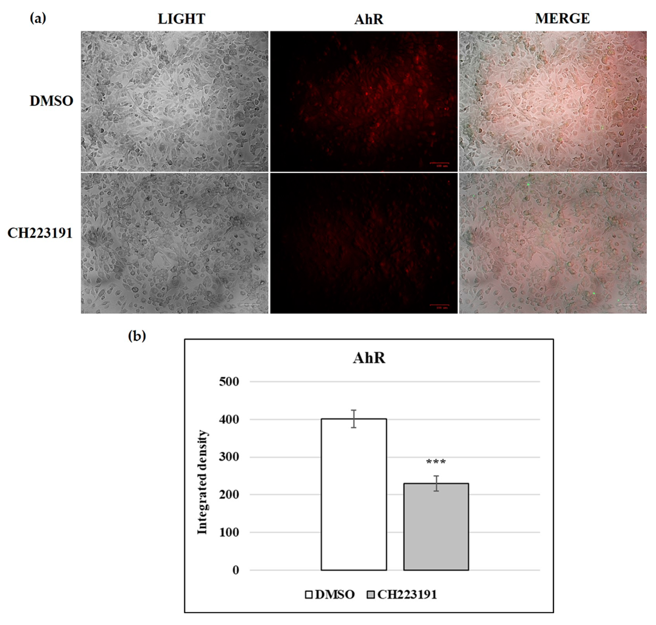 Viruses 17 00227 g005