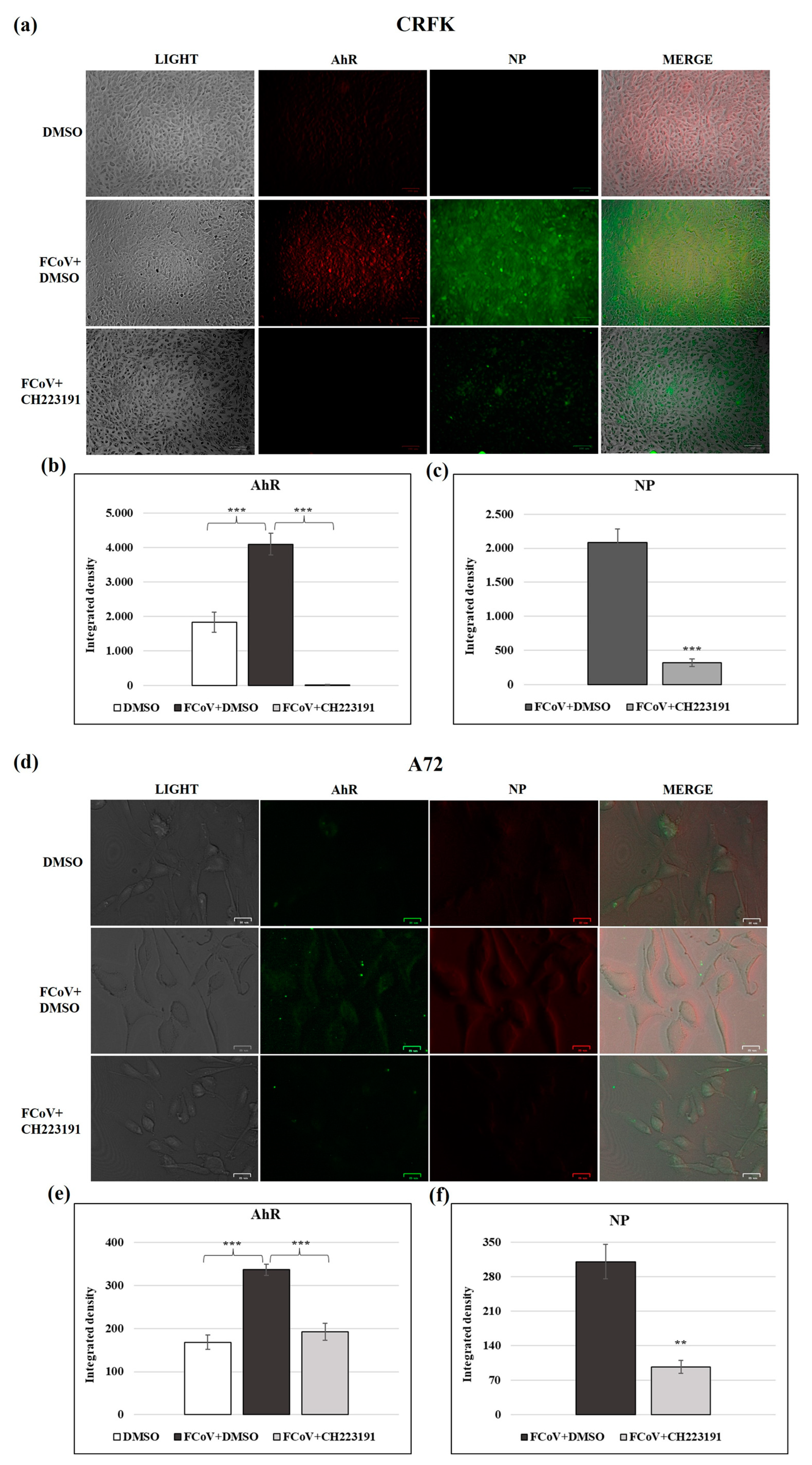 Viruses 17 00227 g006