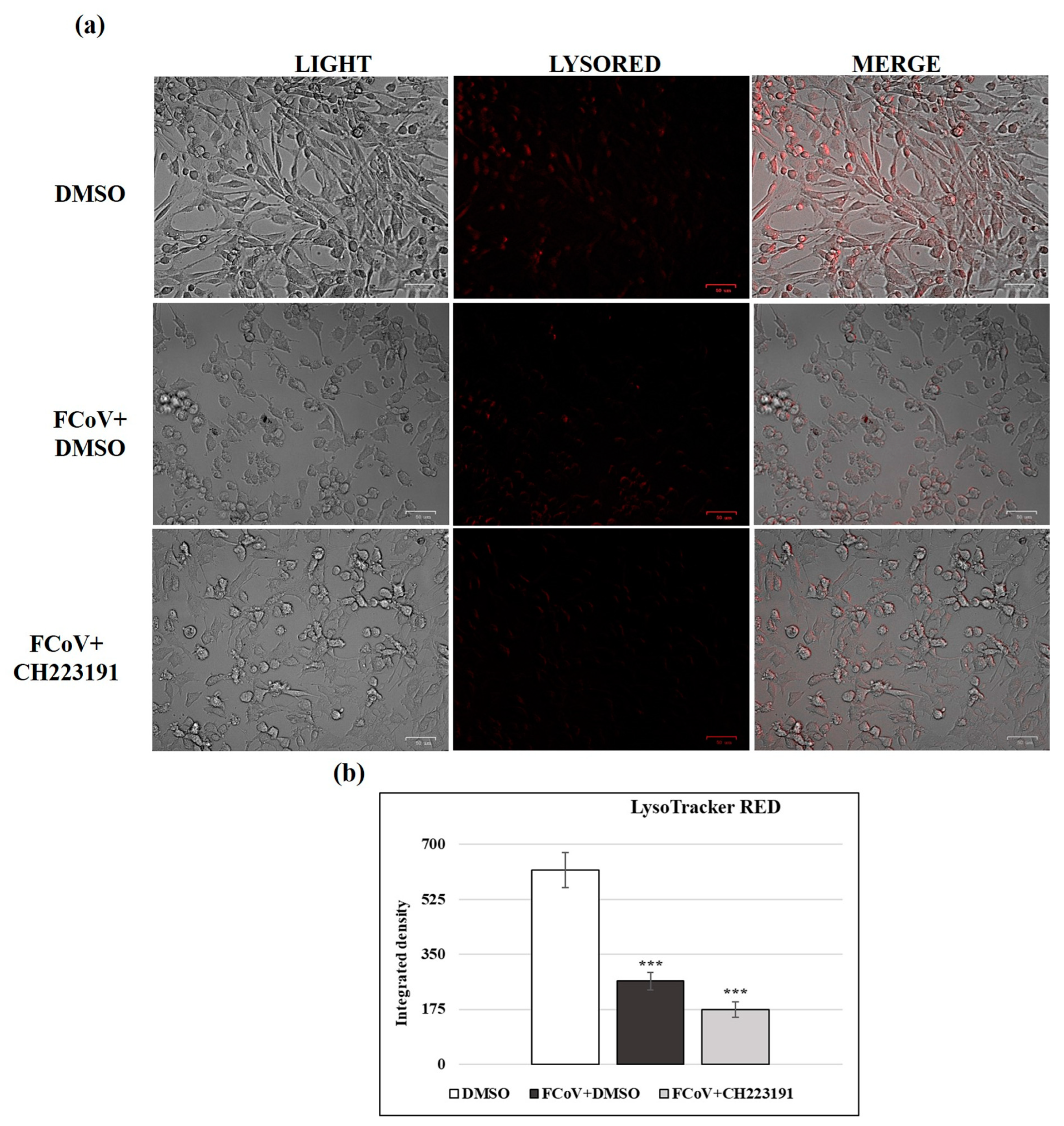 Viruses 17 00227 g008
