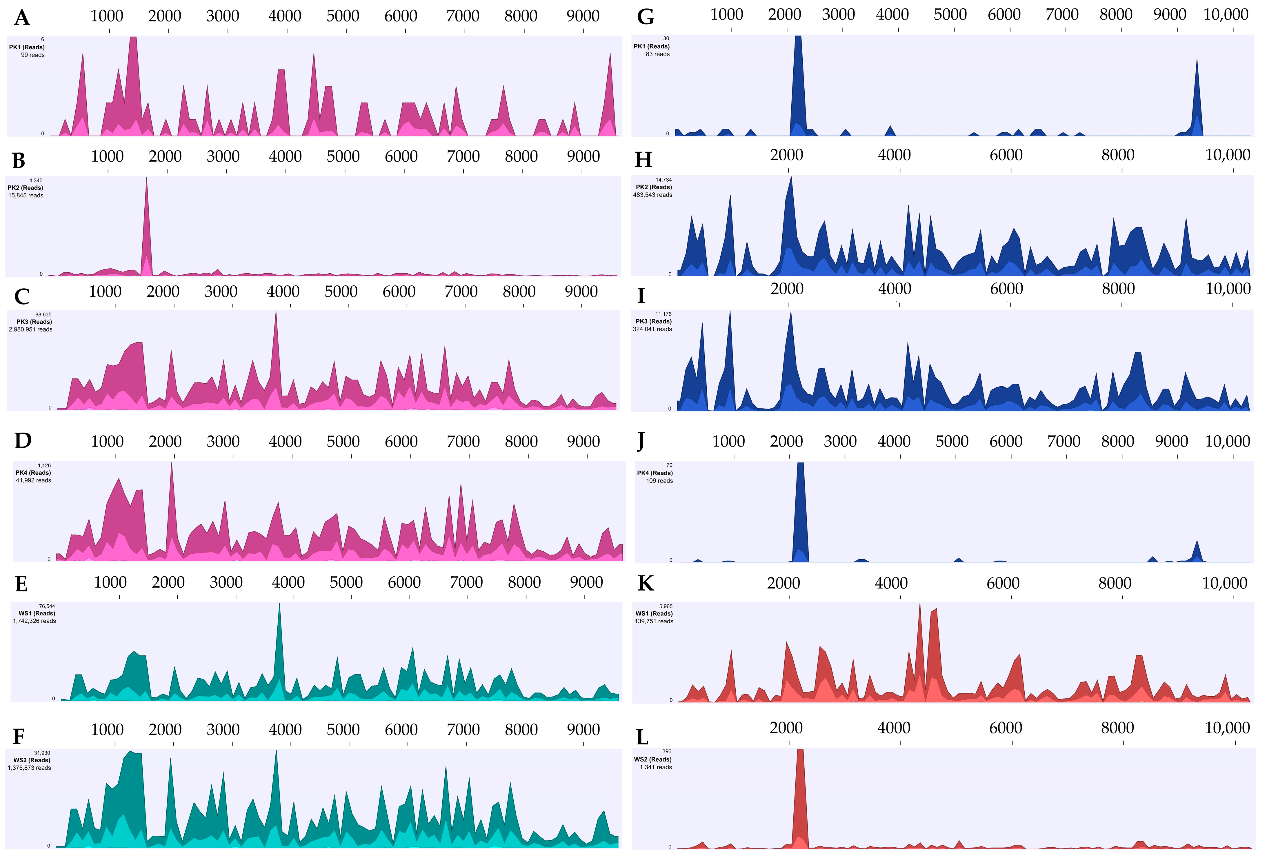 Viruses 17 00233 g003