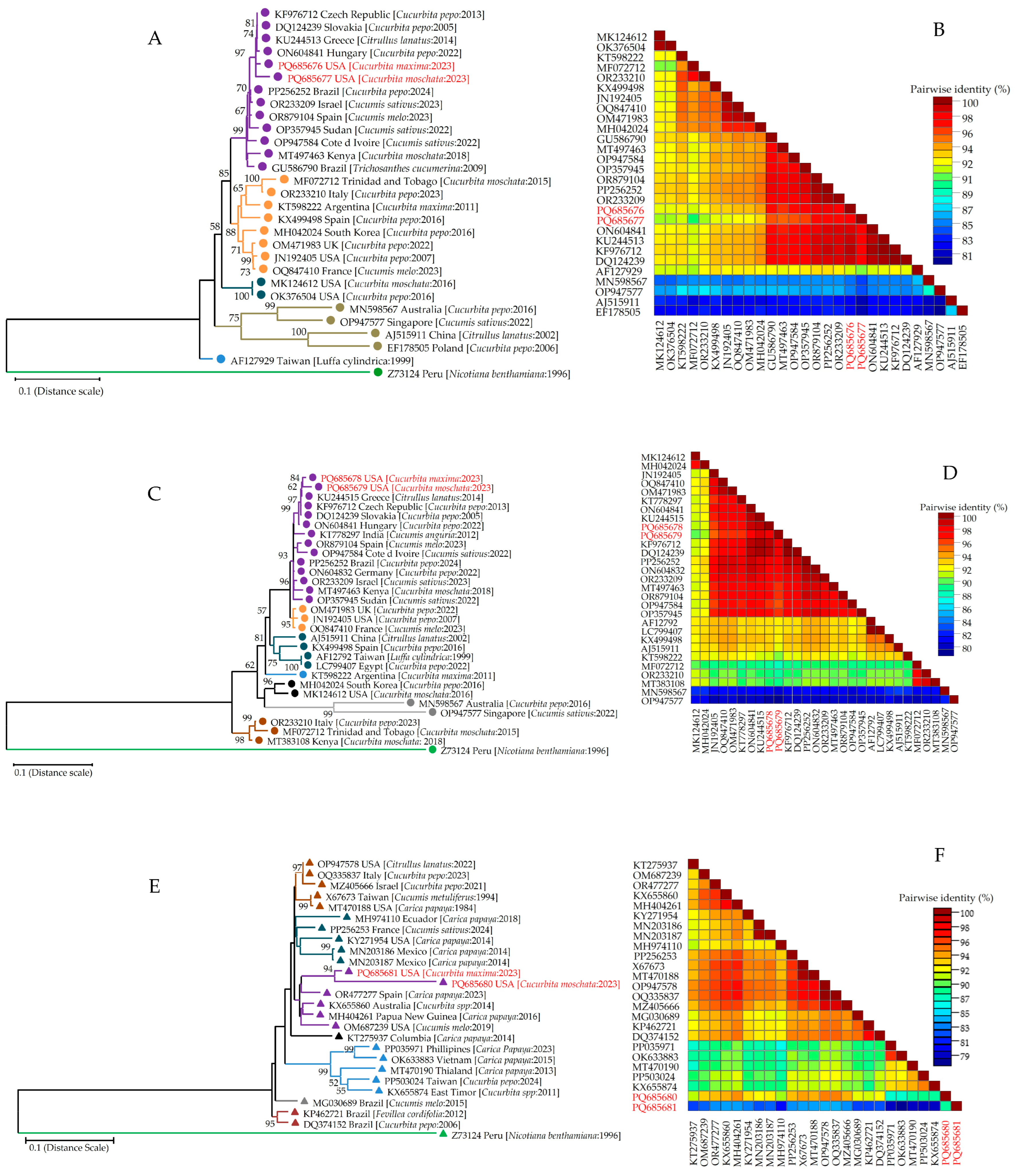 Viruses 17 00233 g005a