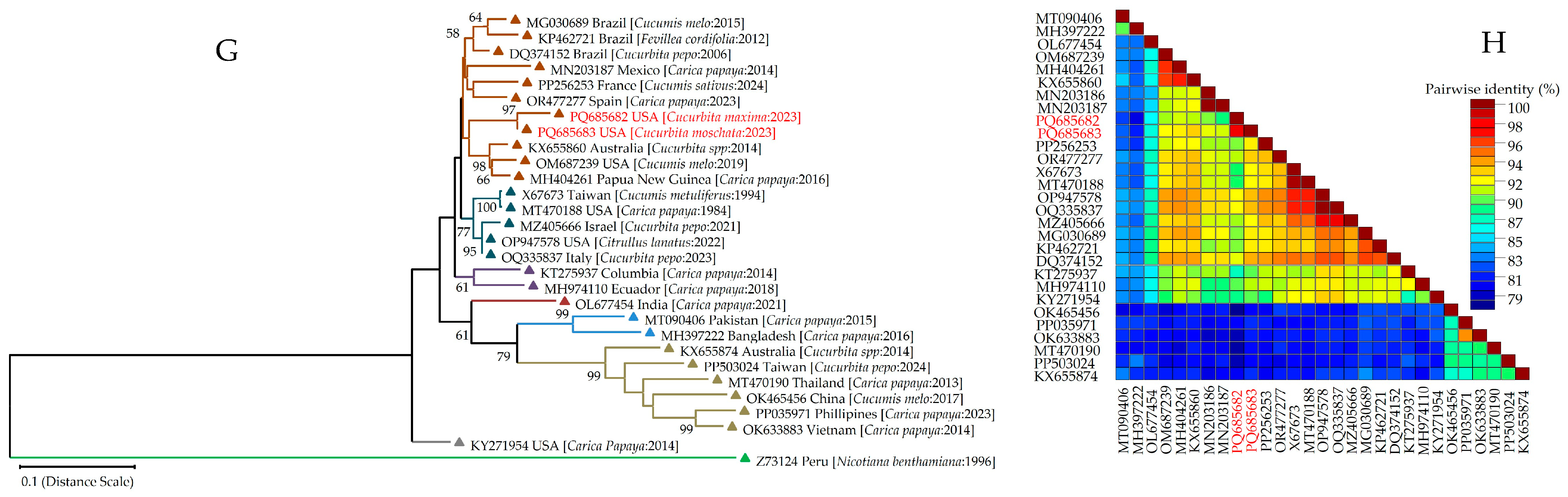 Viruses 17 00233 g005b