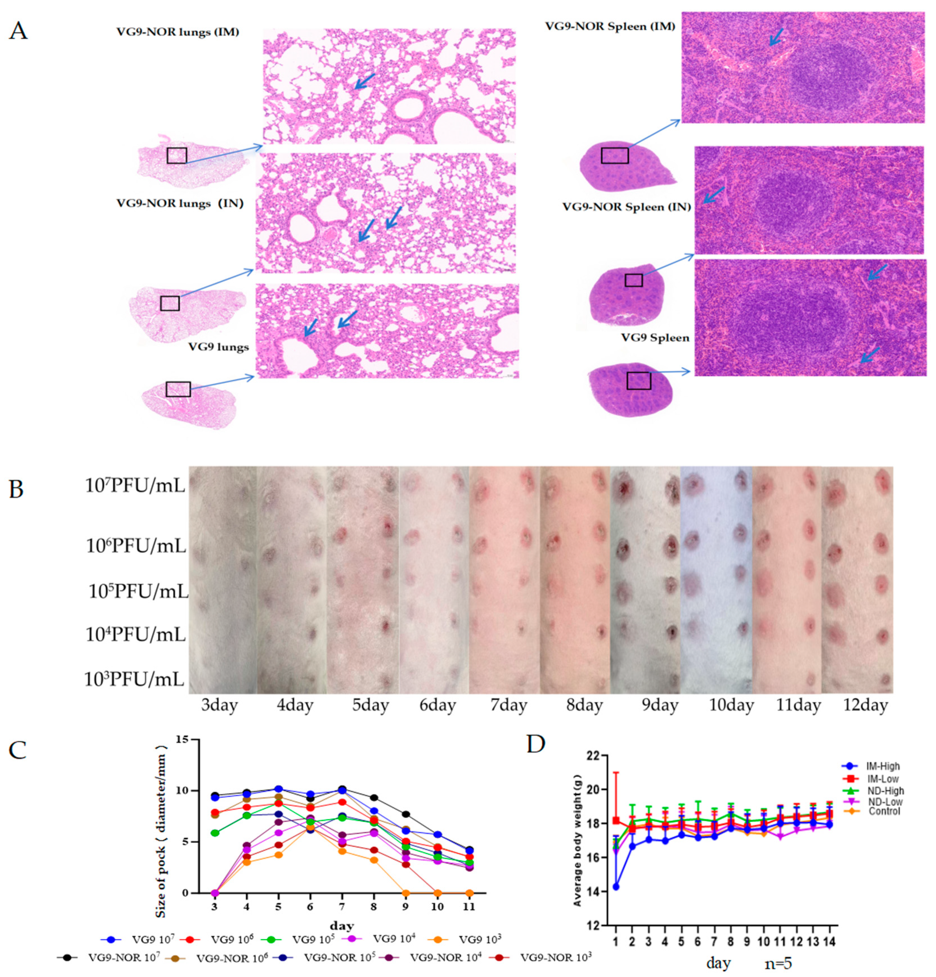 Viruses 17 00237 g003