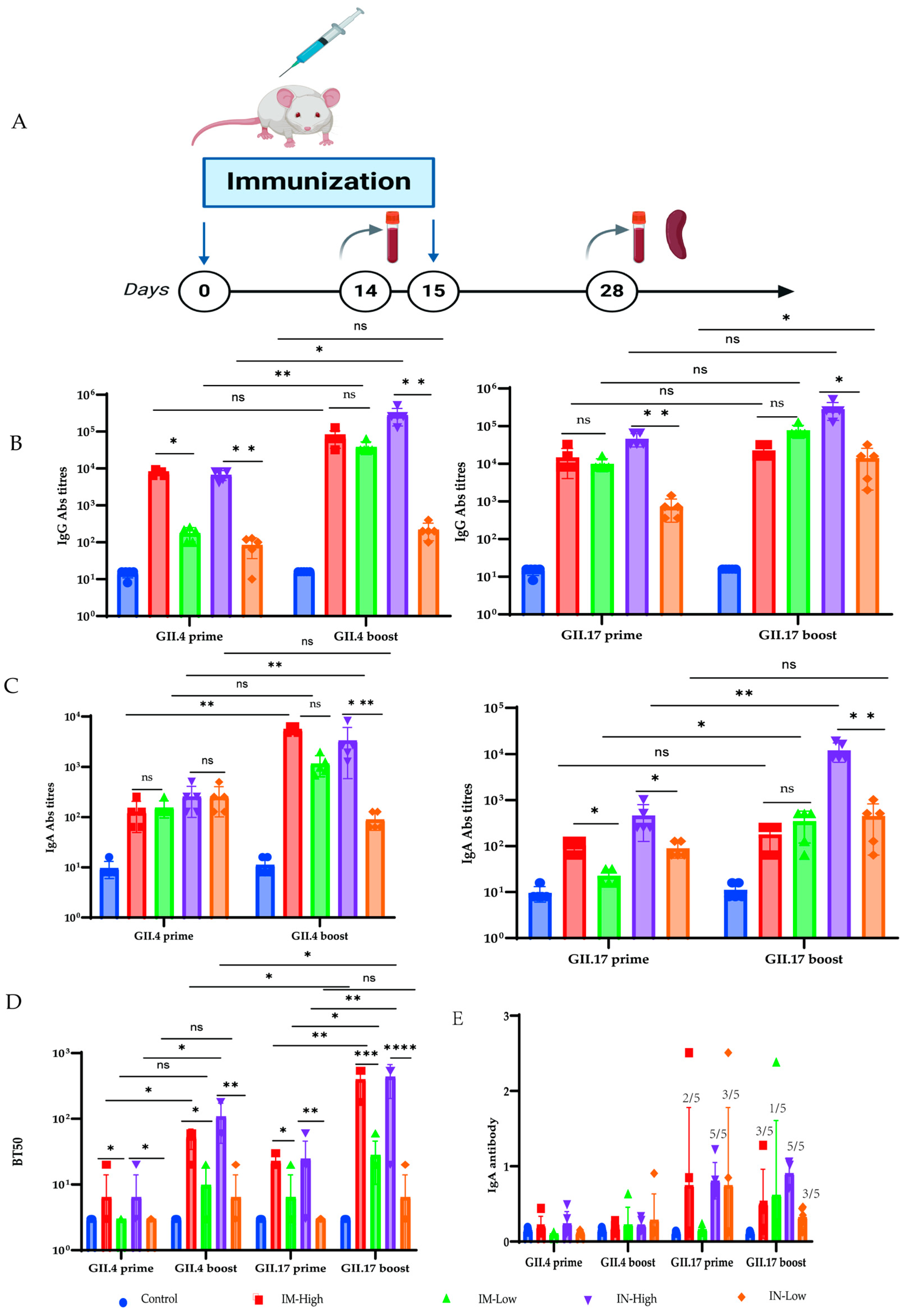 Viruses 17 00237 g004