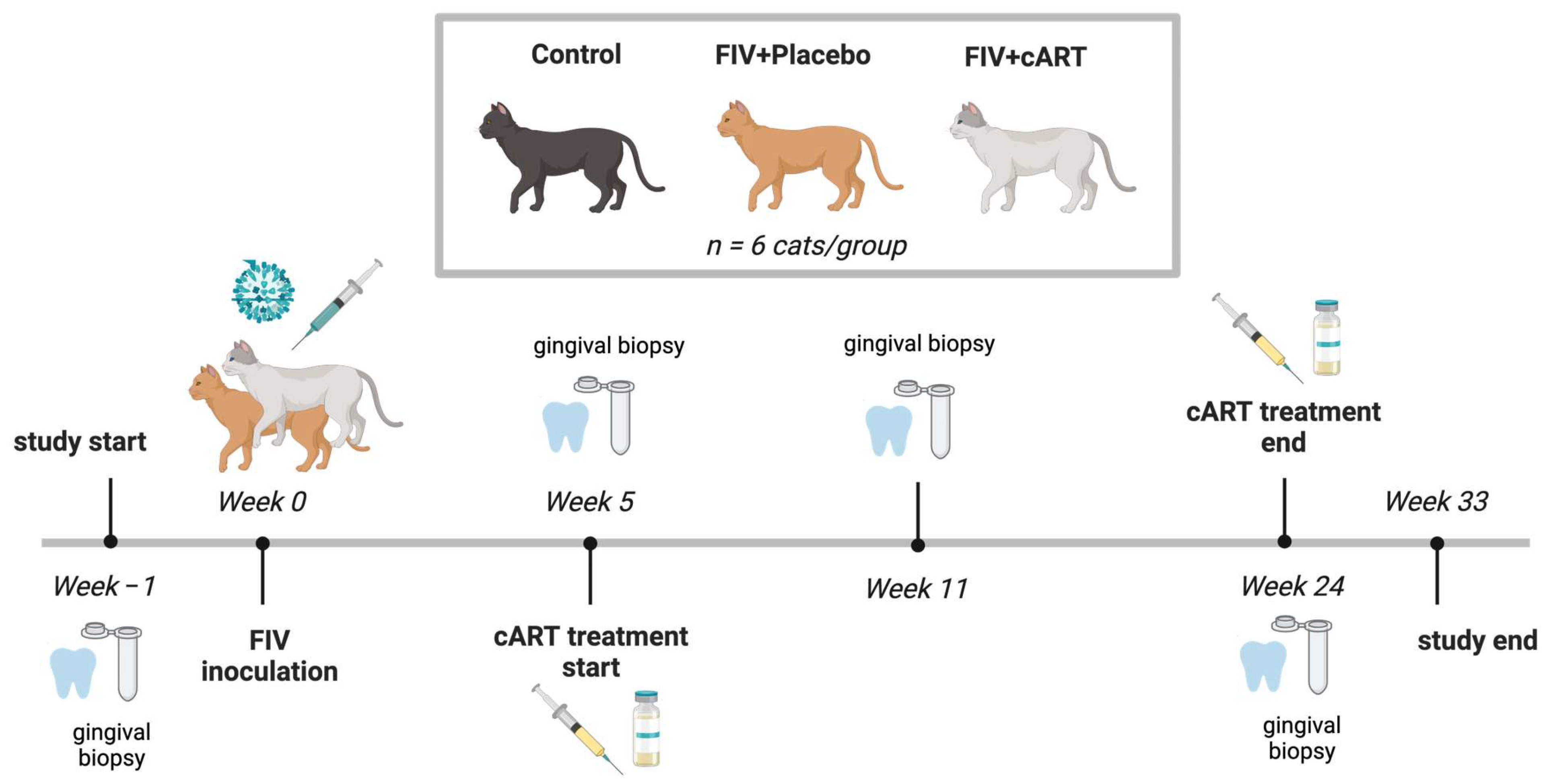 Viruses 17 00257 g001