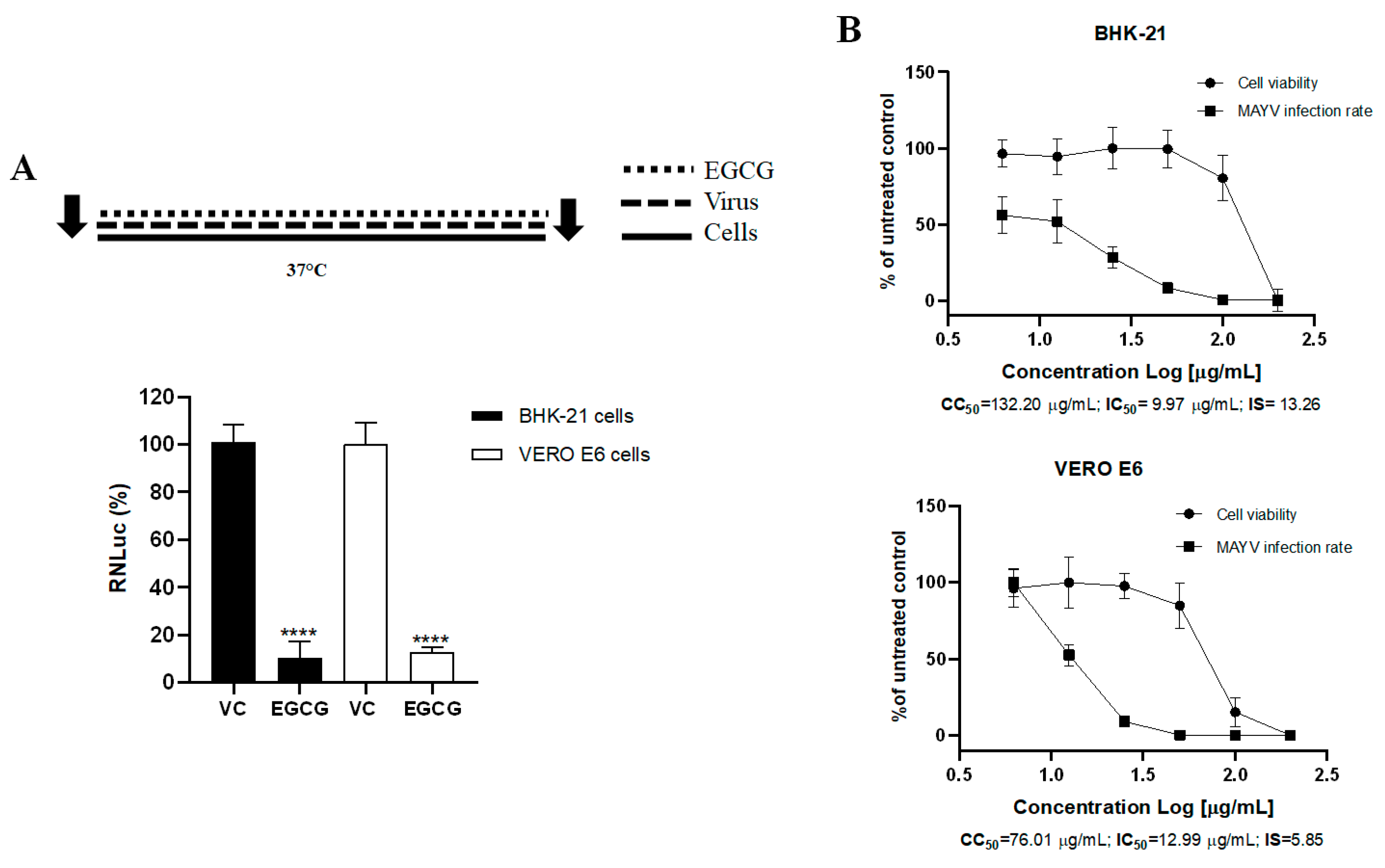 Viruses 17 00258 g002