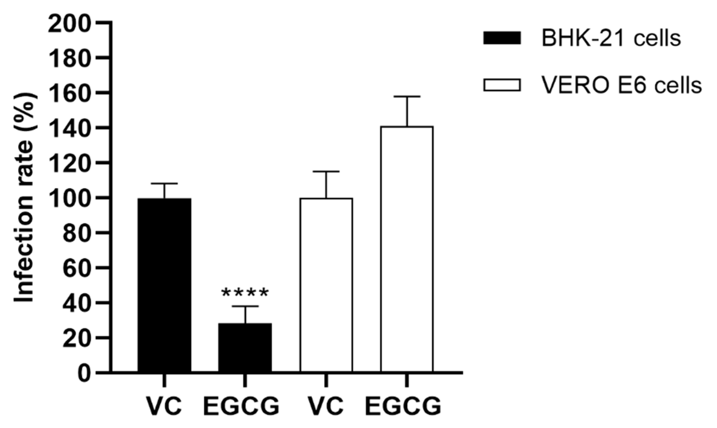 Viruses 17 00258 g003