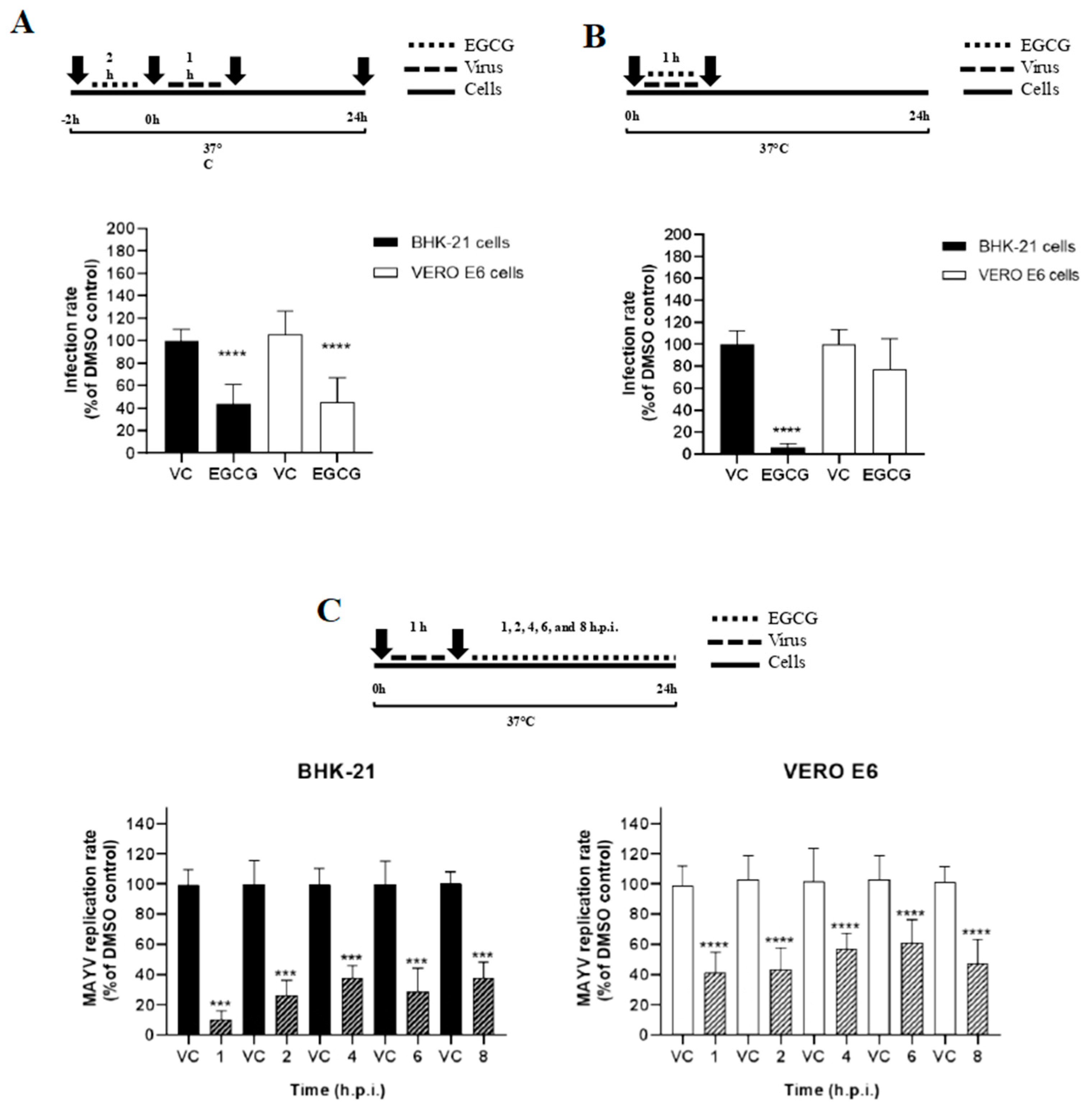 Viruses 17 00258 g004