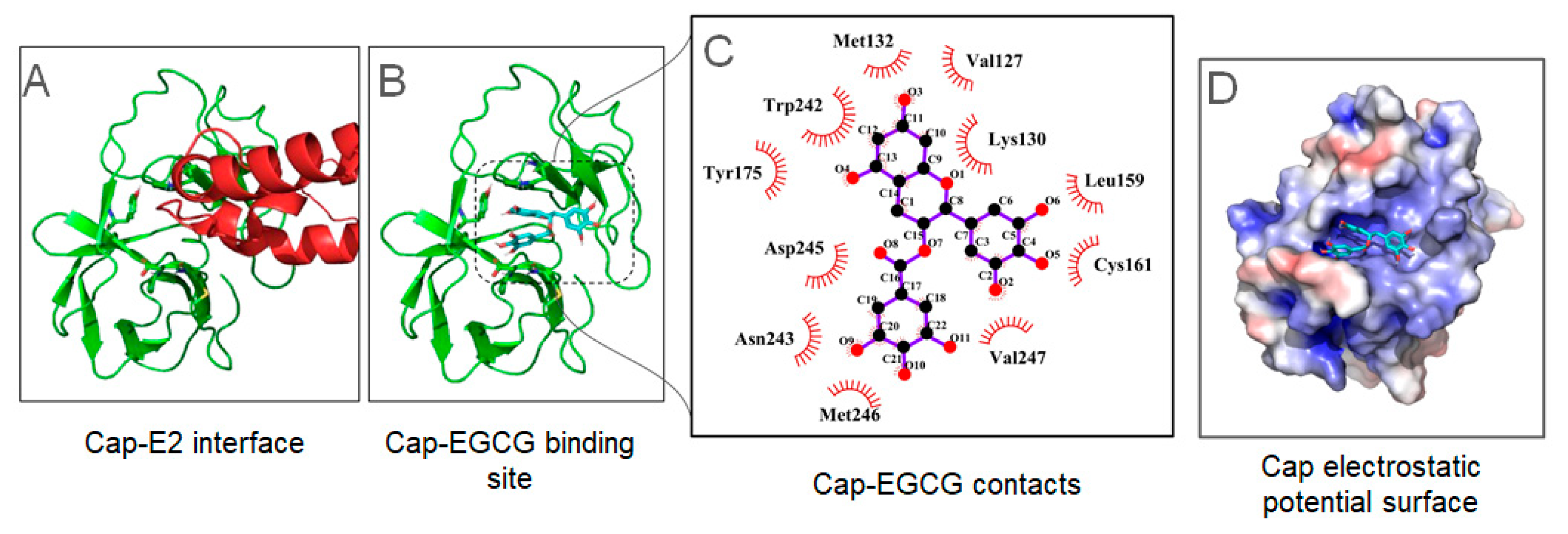 Viruses 17 00258 g006