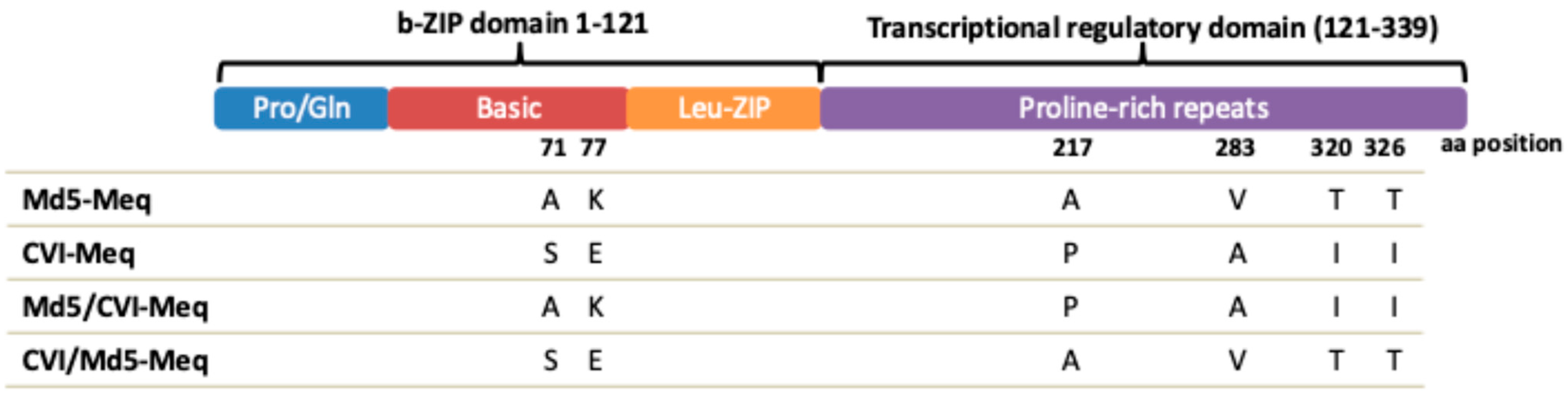 Viruses 17 00259 g001