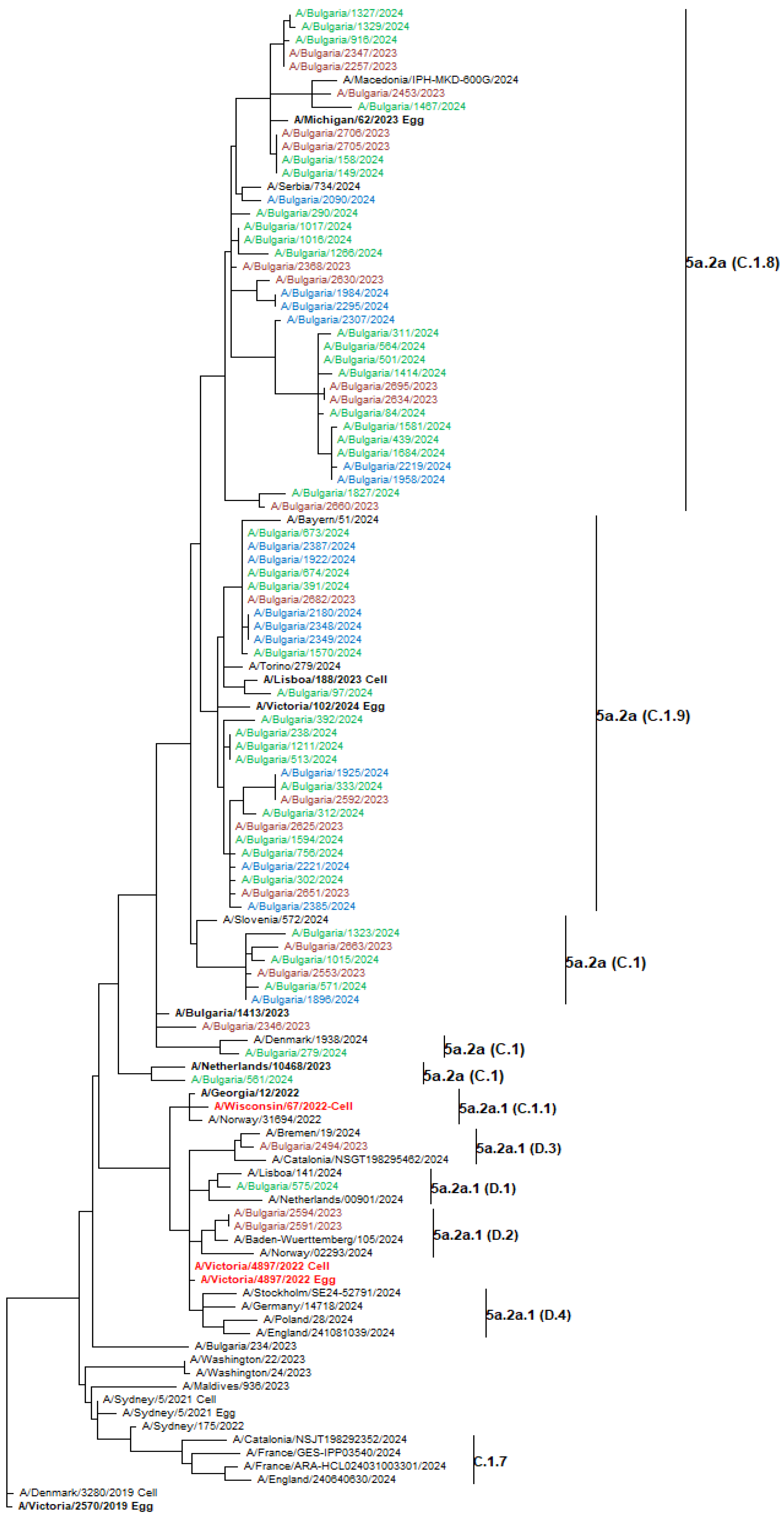 Viruses 17 00270 g006