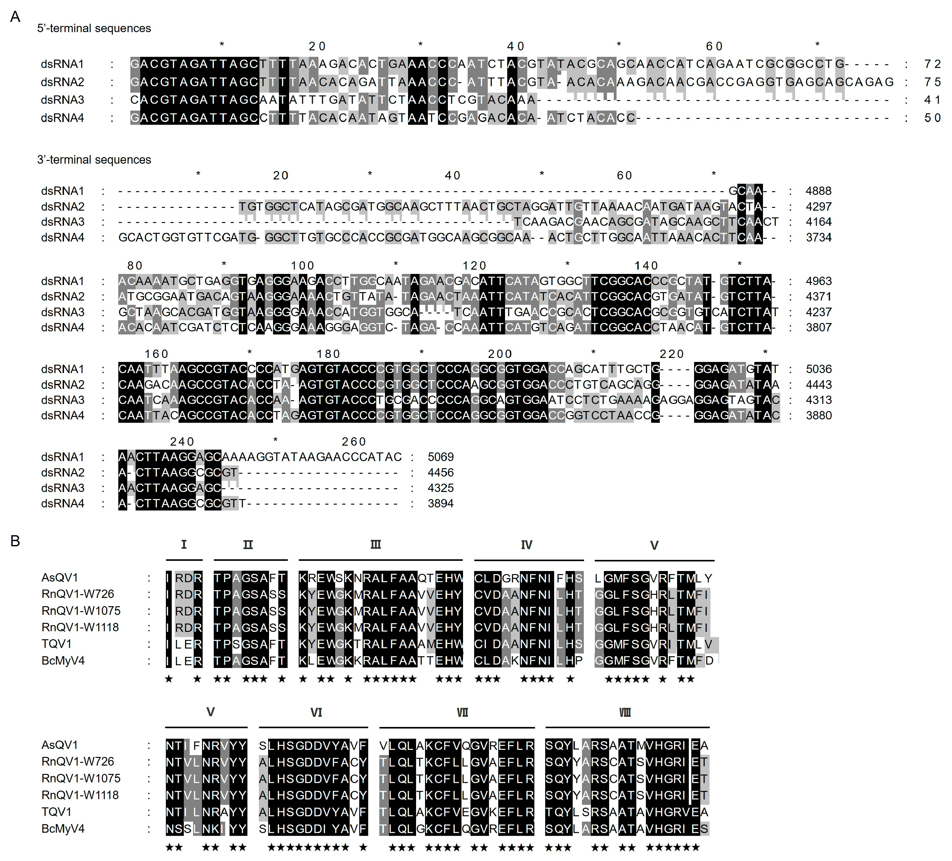 Viruses 17 00275 g002