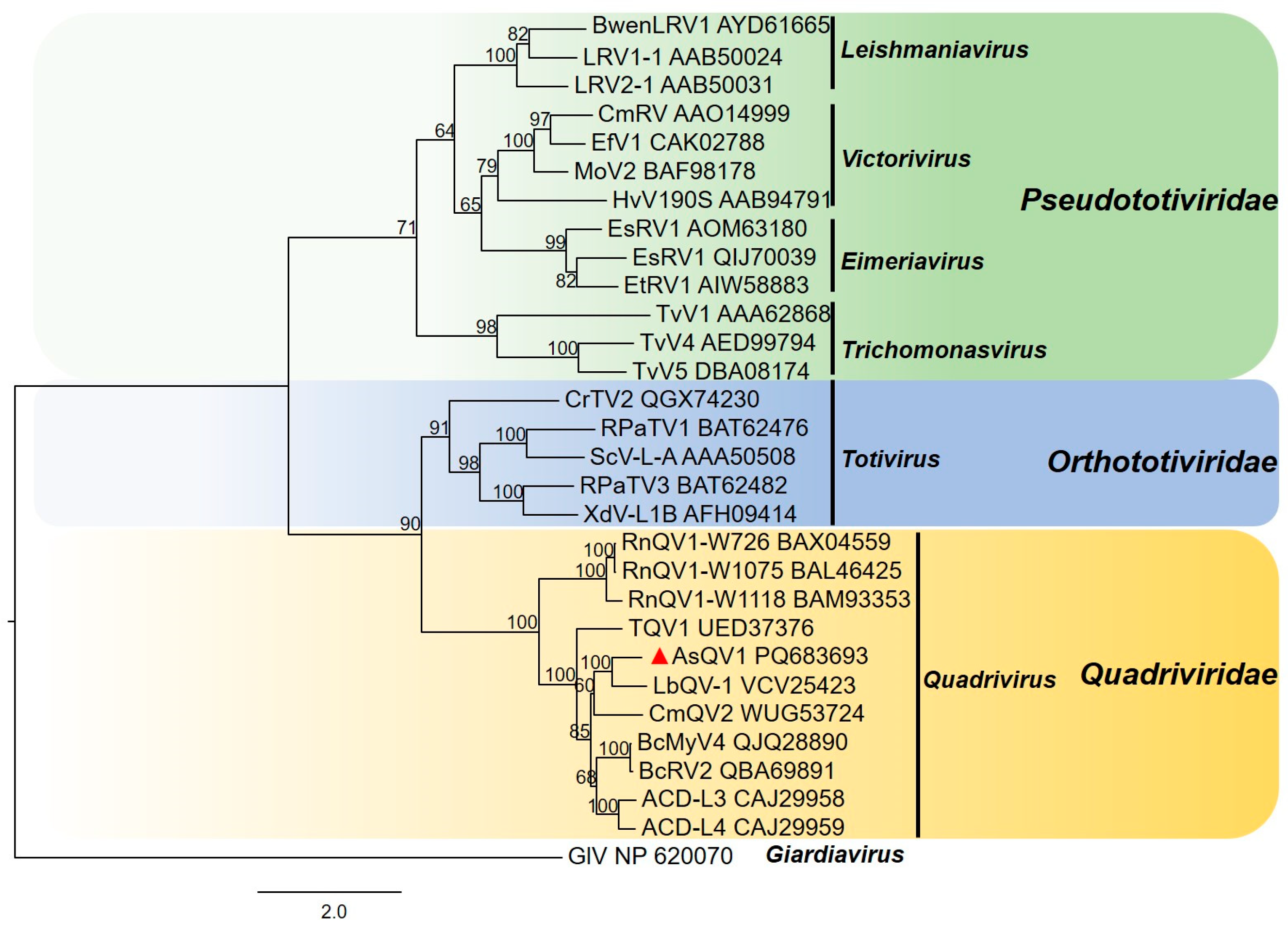 Viruses 17 00275 g003