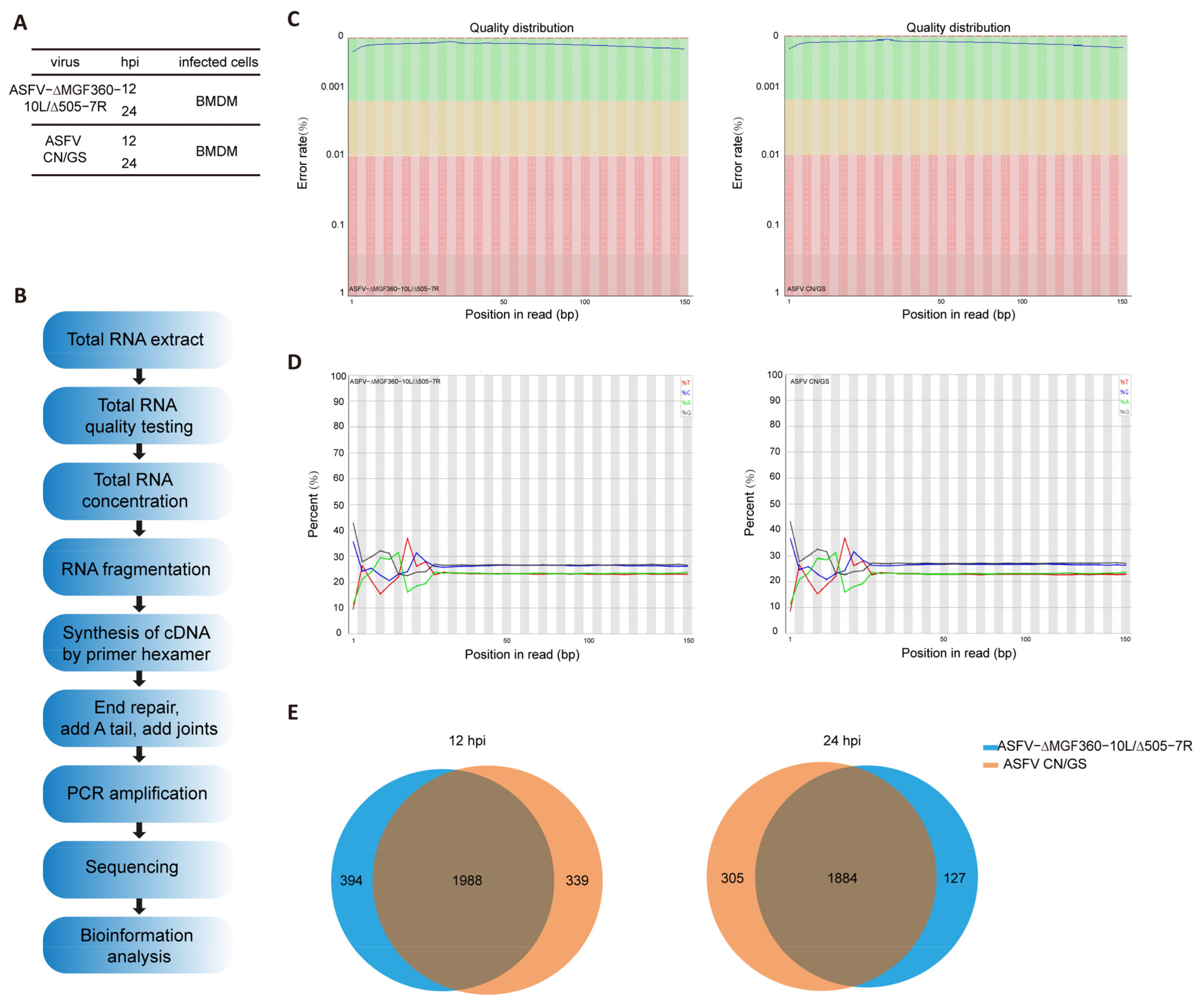 Viruses 17 00283 g004