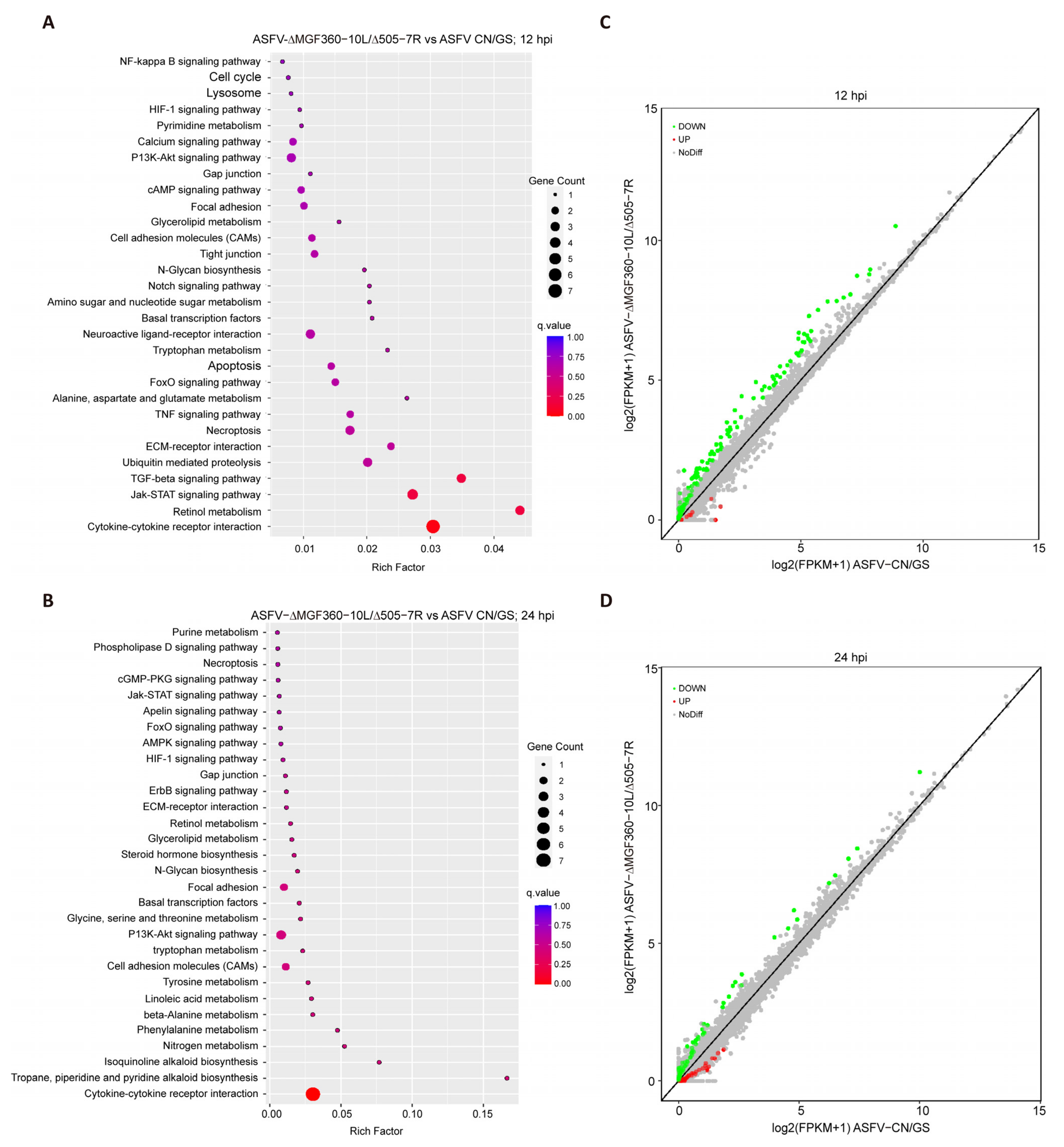 Viruses 17 00283 g005