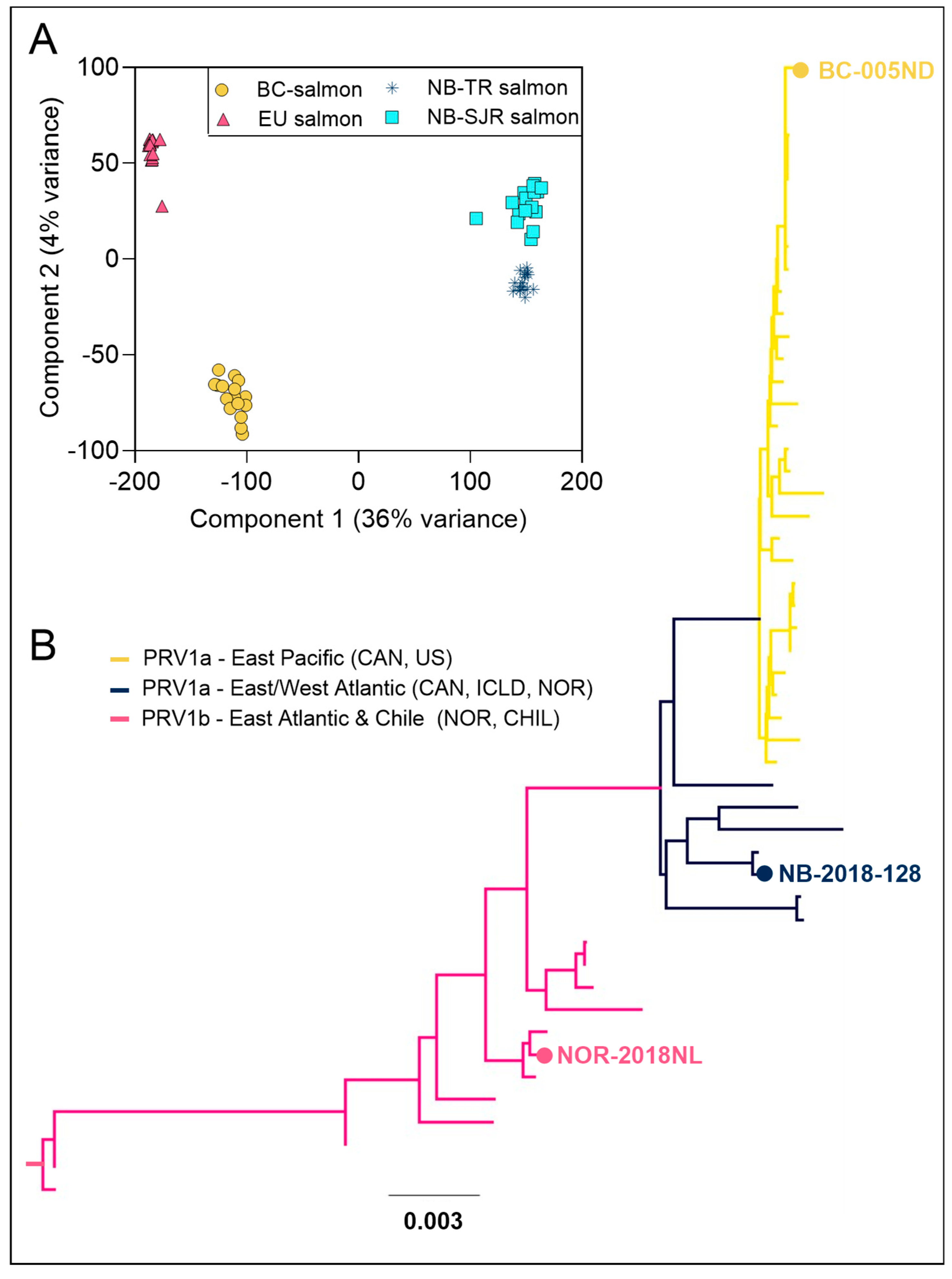 Viruses 17 00285 g001