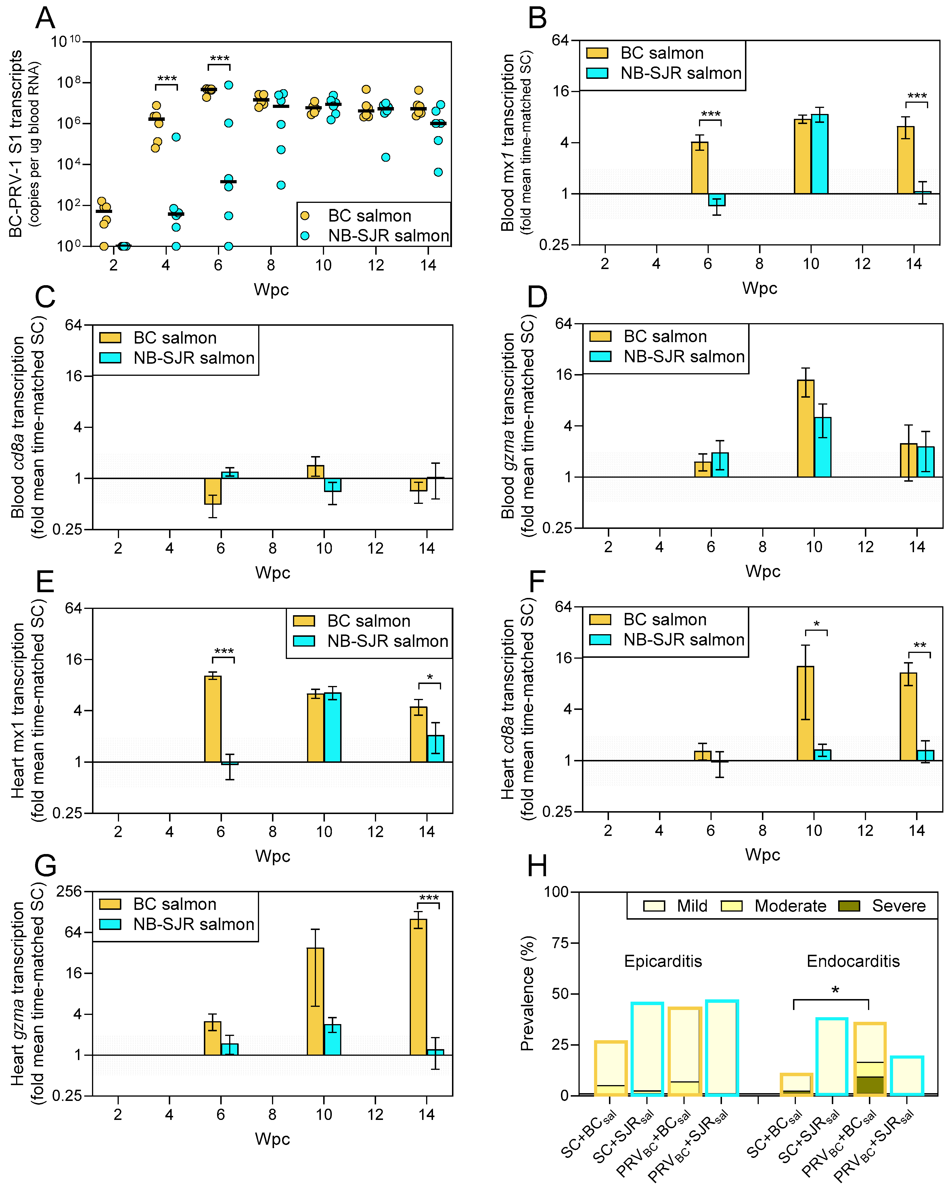 Viruses 17 00285 g002
