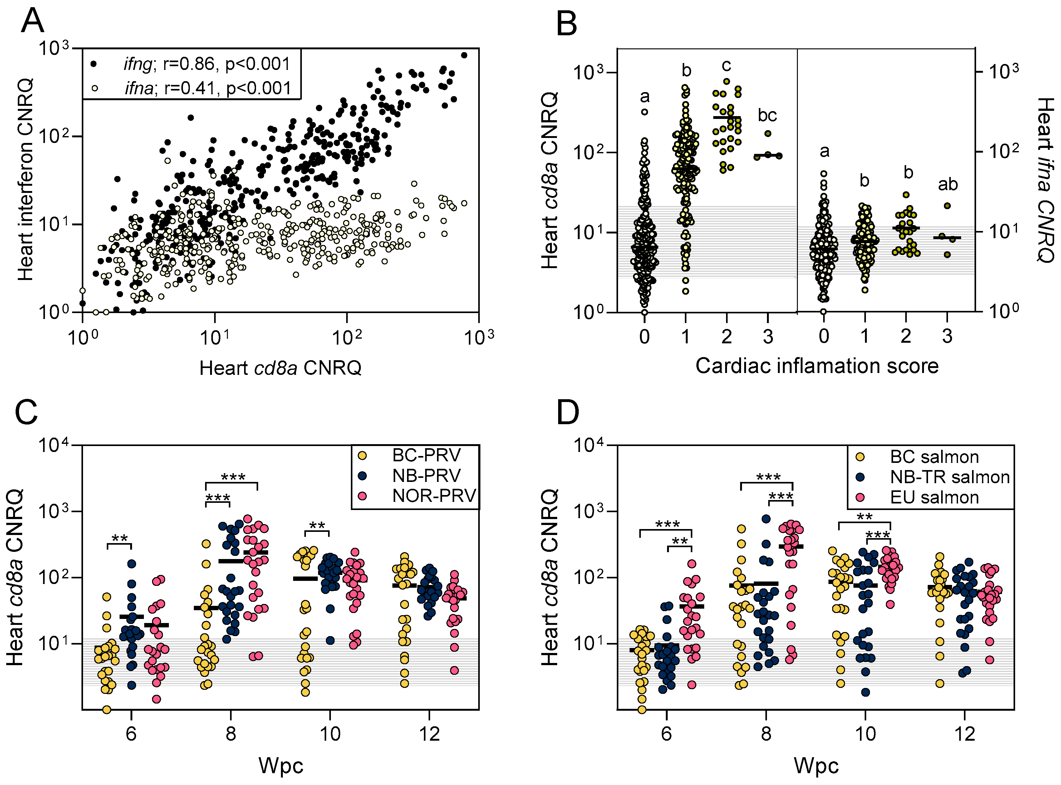 Viruses 17 00285 g004