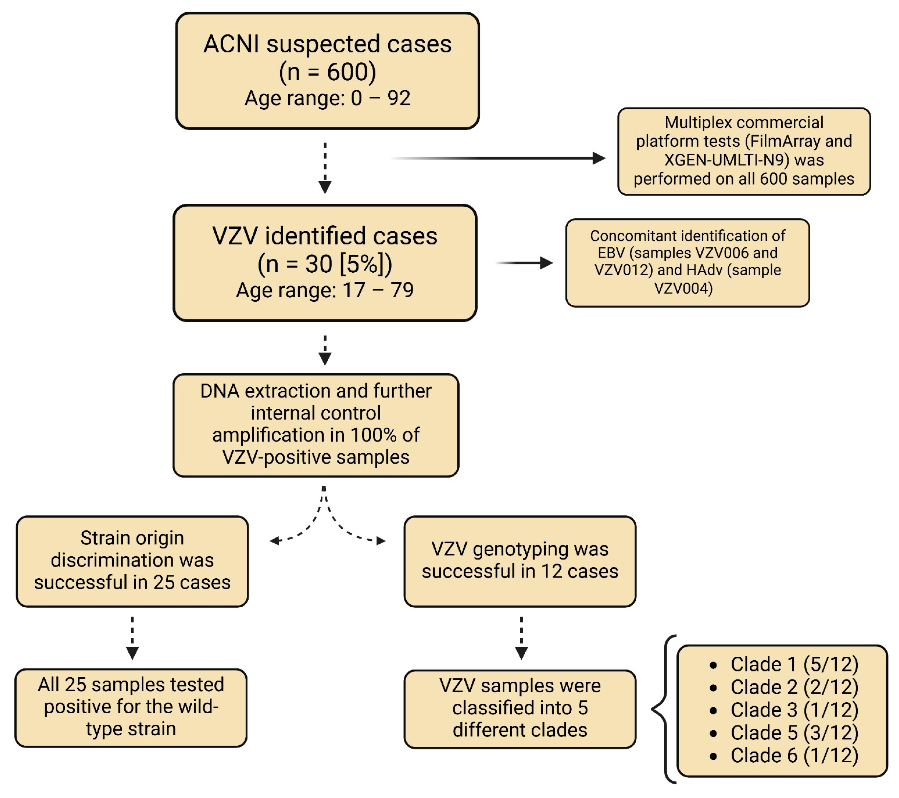 Viruses 17 00286 g002 Viruses 17 00286 g002